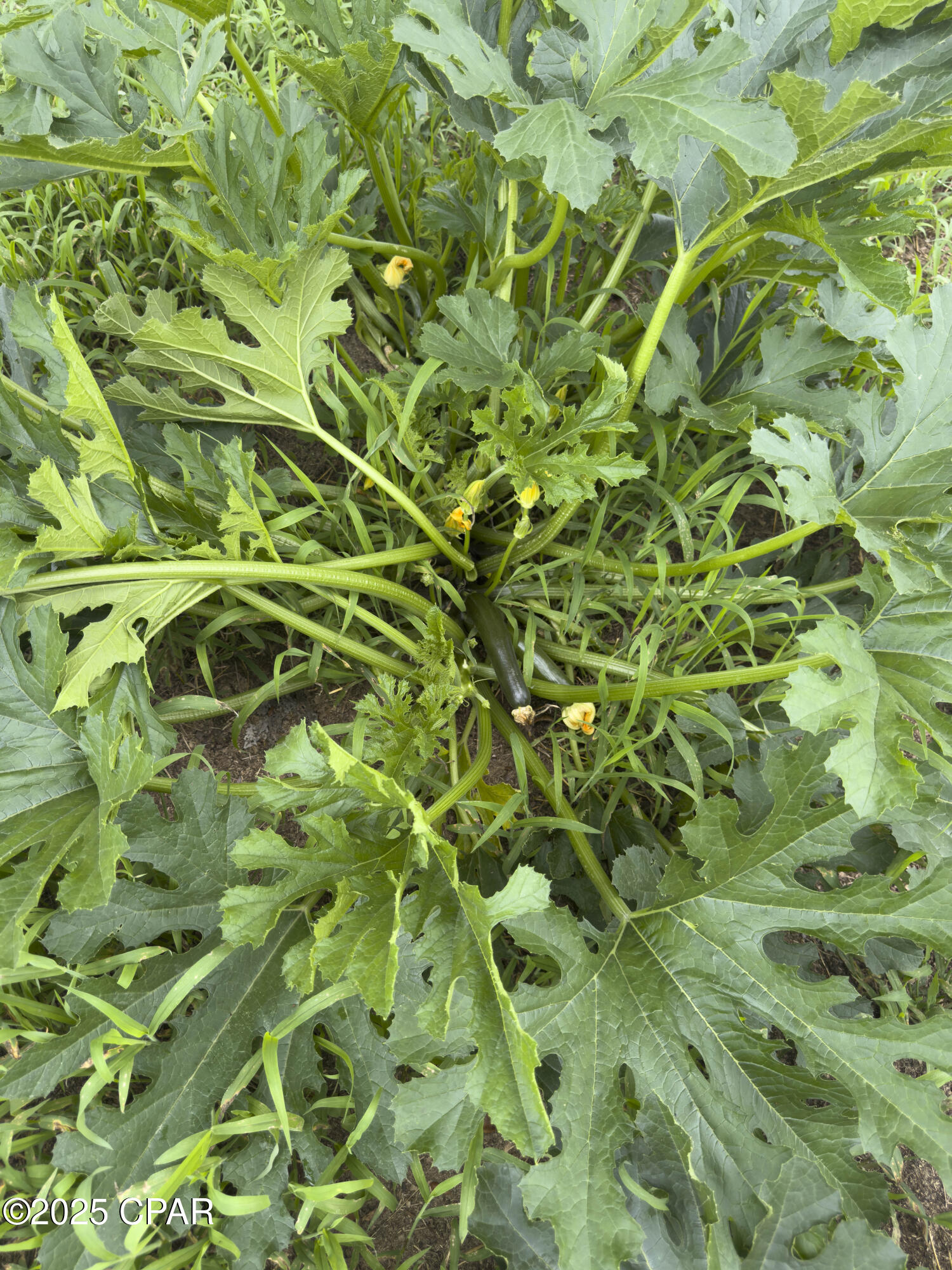 Image 24 For 20235 Bain Road