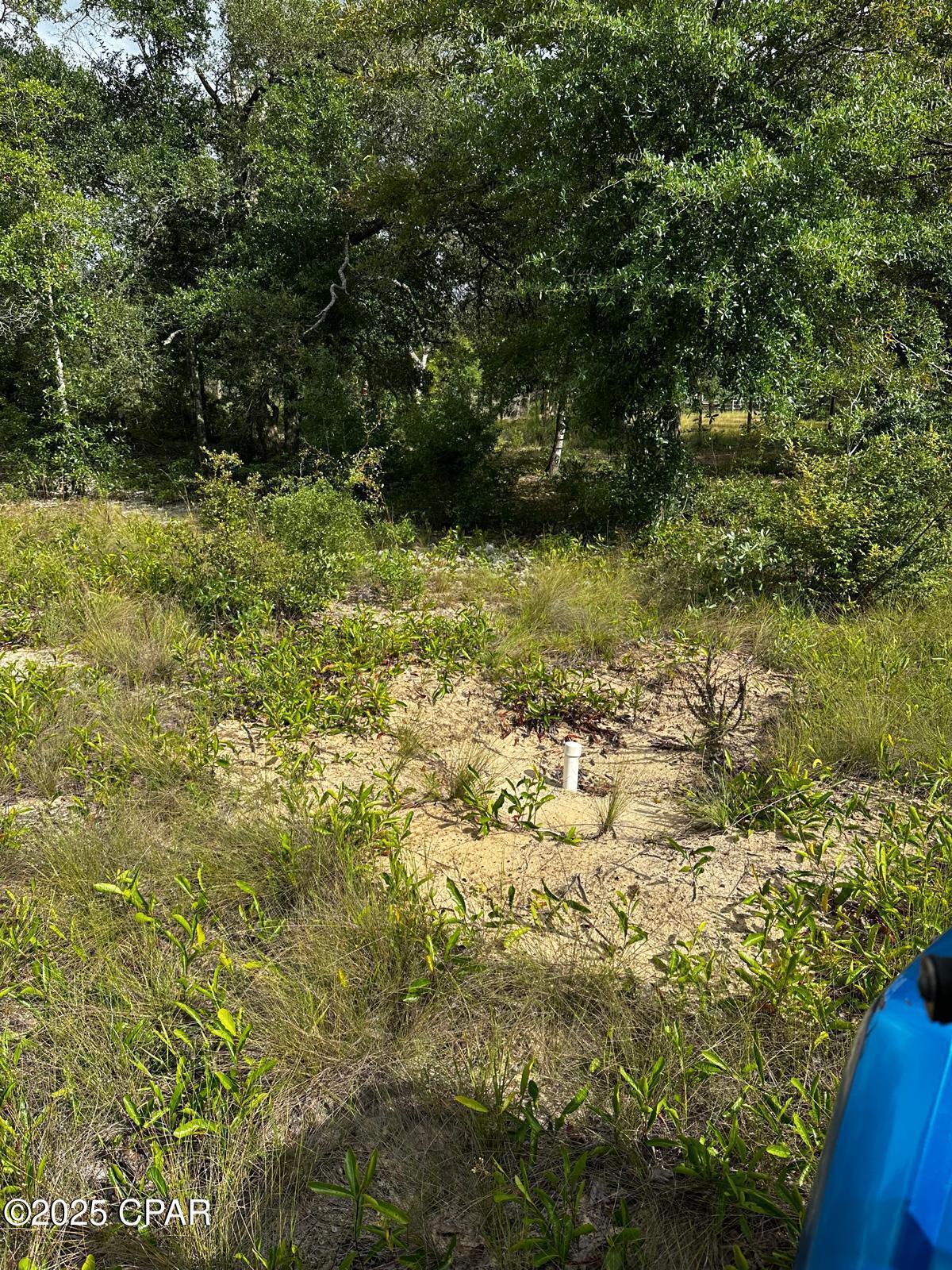 Image 25 For 20235 Bain Road