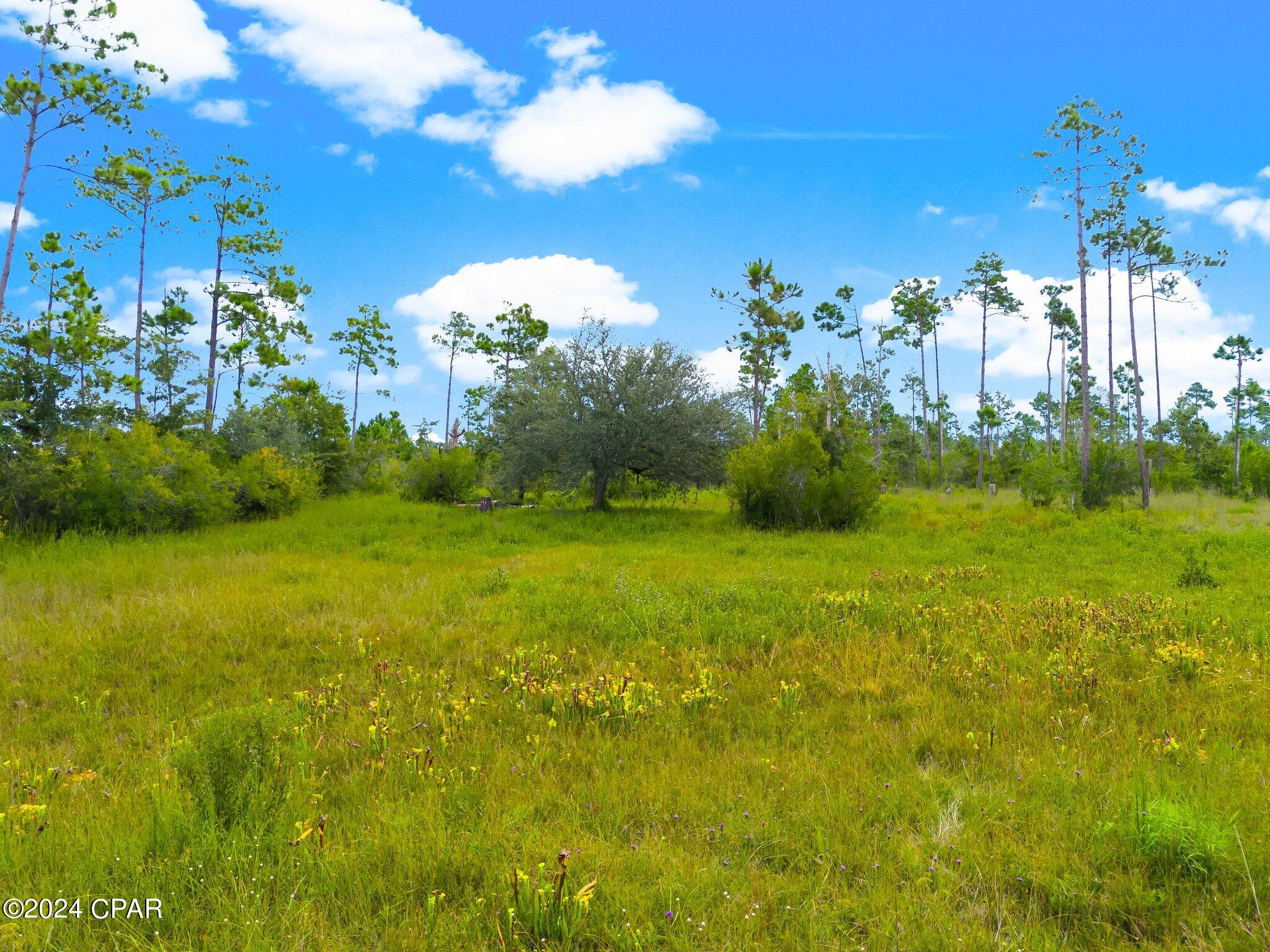 00 Harville Drive, Panama City, FL 32404