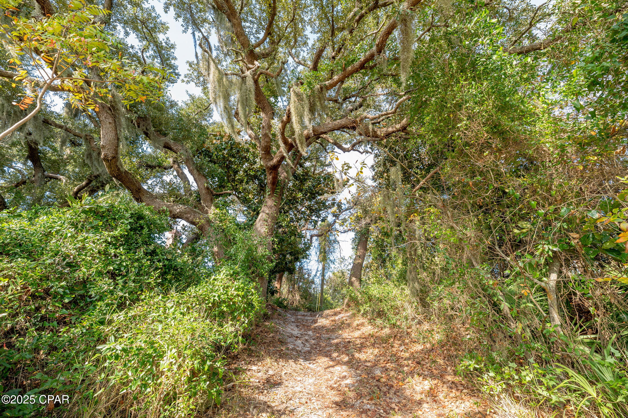 Image 7 For 3565 Sanctuary Drive