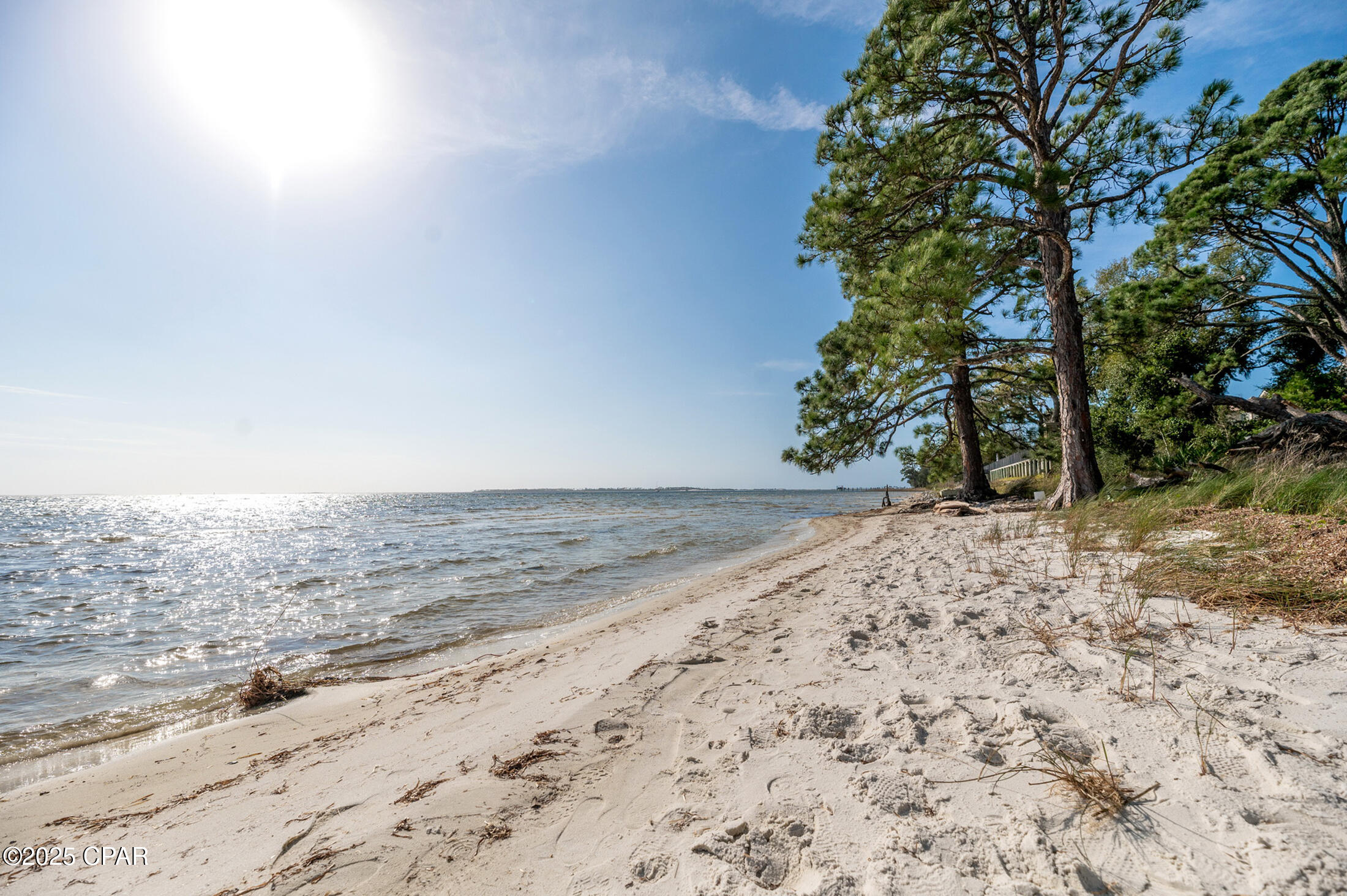 Image 8 For 3565 Sanctuary Drive
