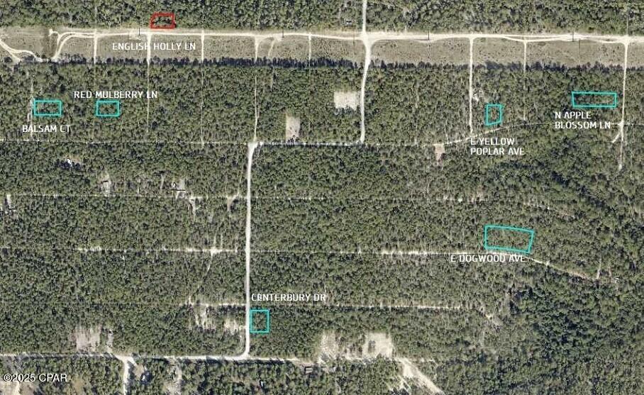 Homes for sale in Defuniak Springs, FL | 0 E Yellow Poplar Ave, Defuniak Springs, FL 32433 | MLS# 775759