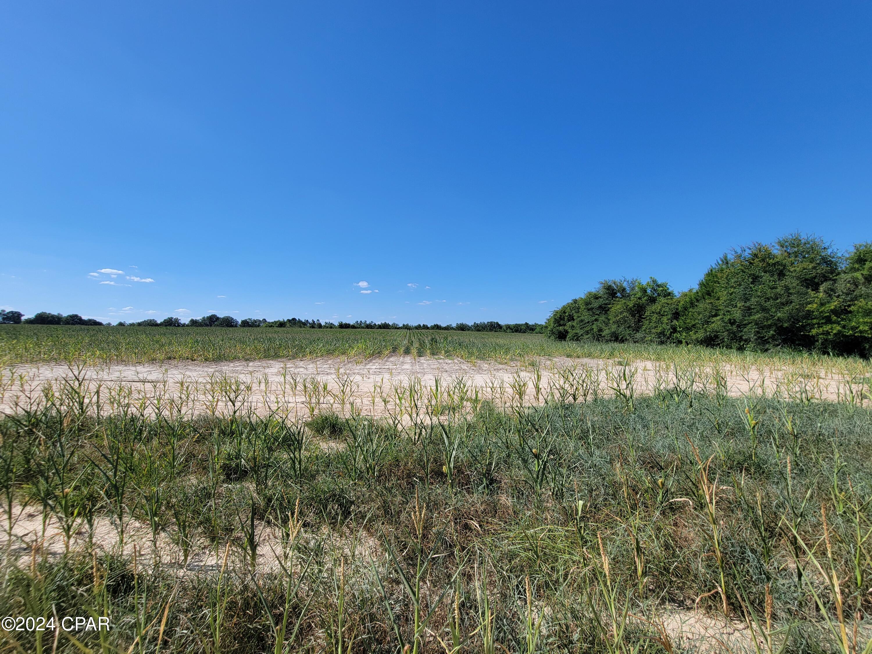 Homes for sale in Westville, FL | Lot 3 Bradley Rd, Westville, FL 32464 | MLS# 759949