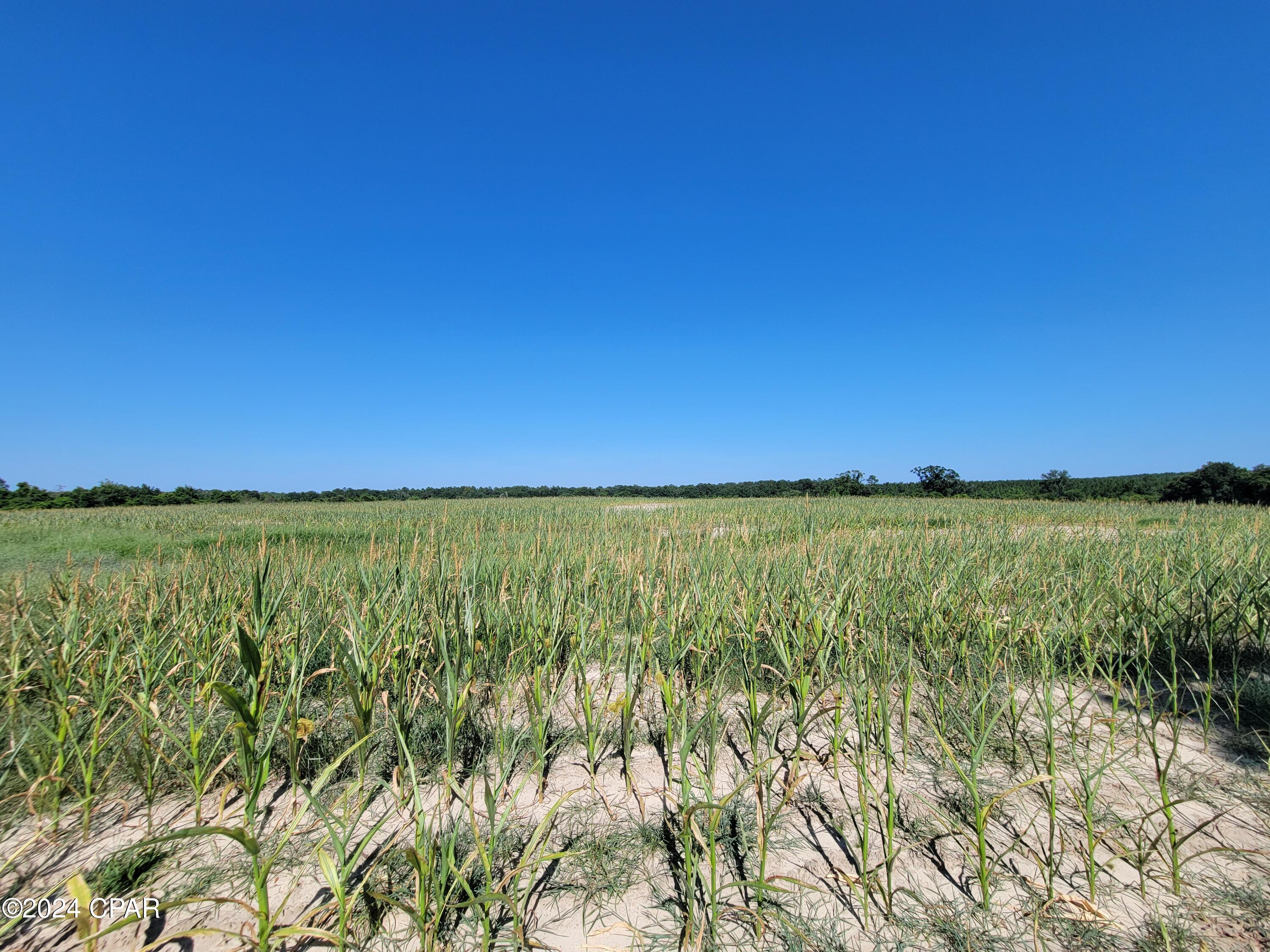 Details for Lot 4 Bradley Road, Westville, FL 32464