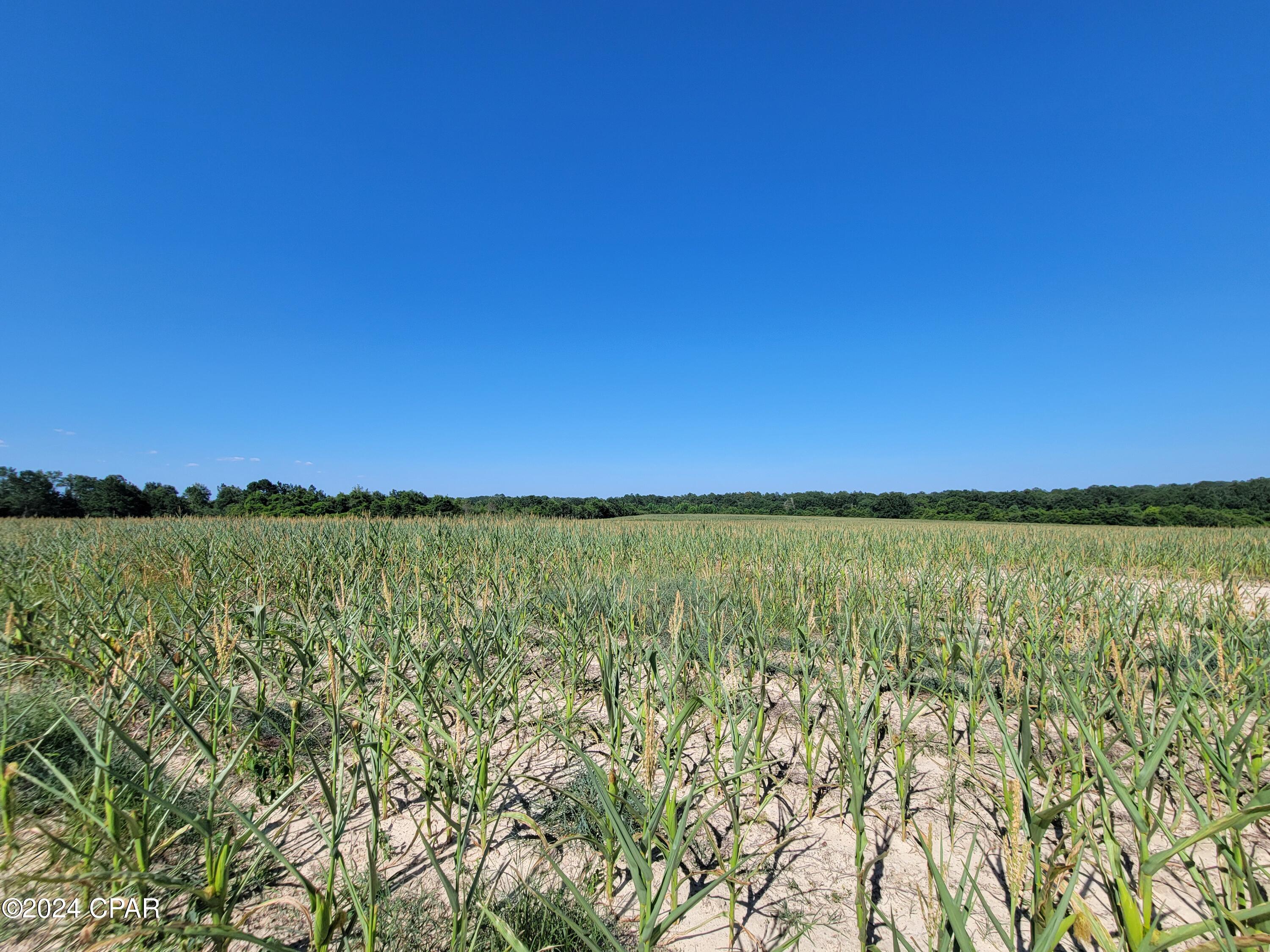 Homes for sale in Westville, FL | Lot 4 Bradley Rd, Westville, FL 32464 | MLS# 759951