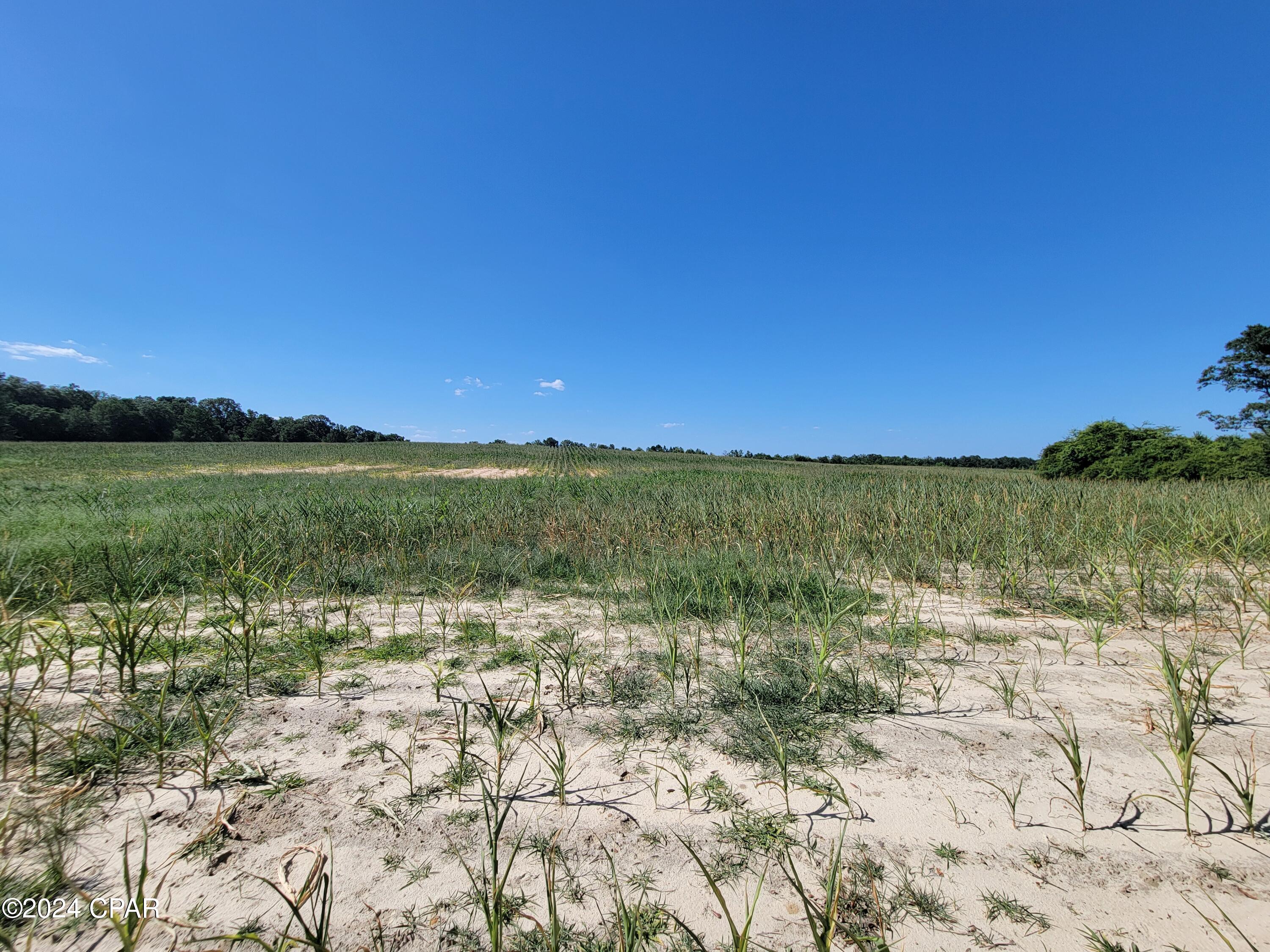 Homes for sale in Westville, FL | Lot 4 Bradley Rd, Westville, FL 32464 | MLS# 759951