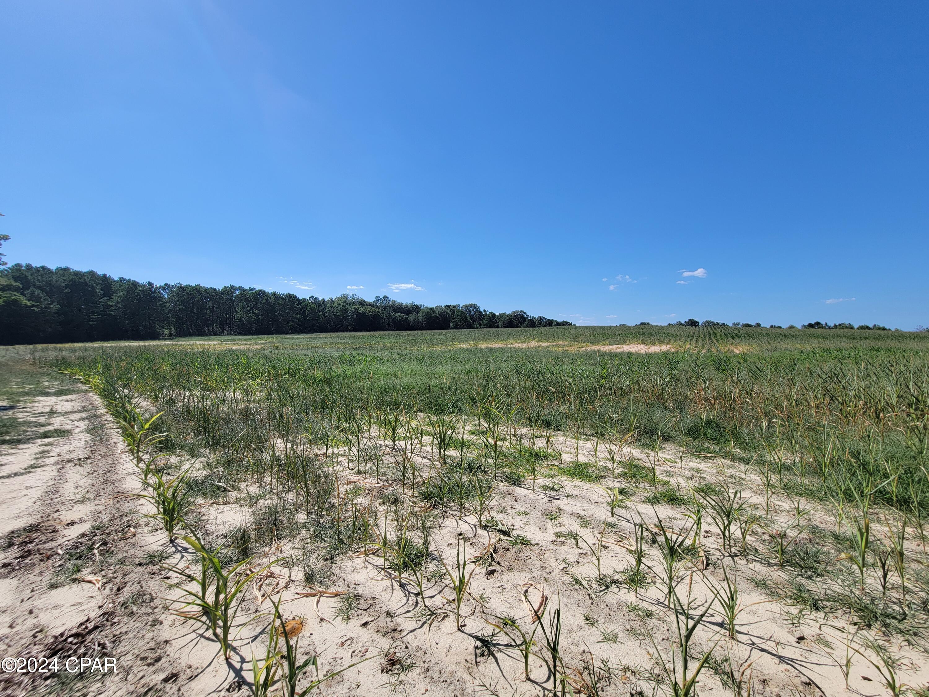 Image 7 For Lot 4 Bradley Road