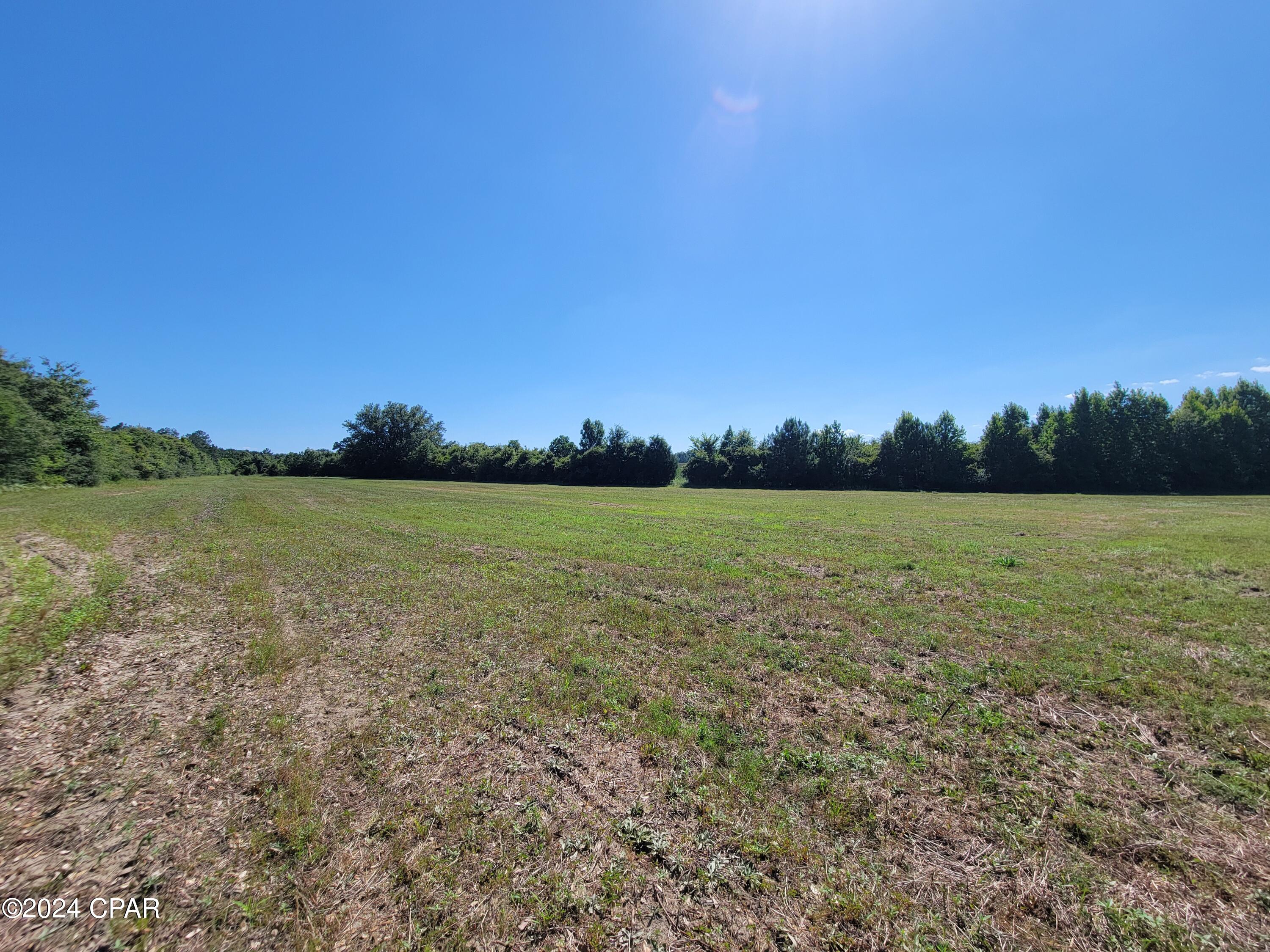 Image 7 For Lot 2 Bradley Road