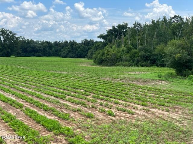 Image 2 For 00 Fillmore Drive