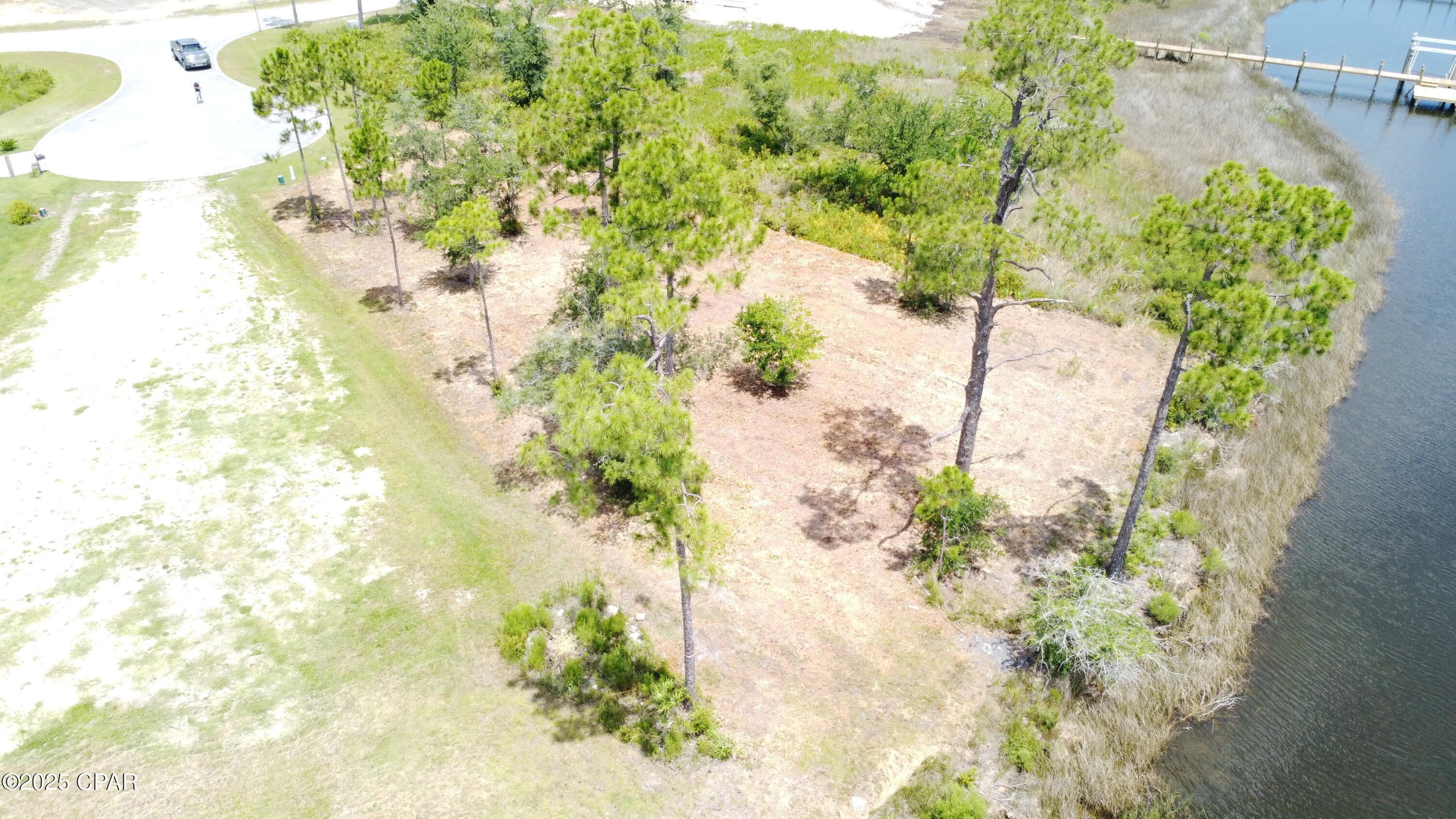 Image 2 For 1101 Mizzen  