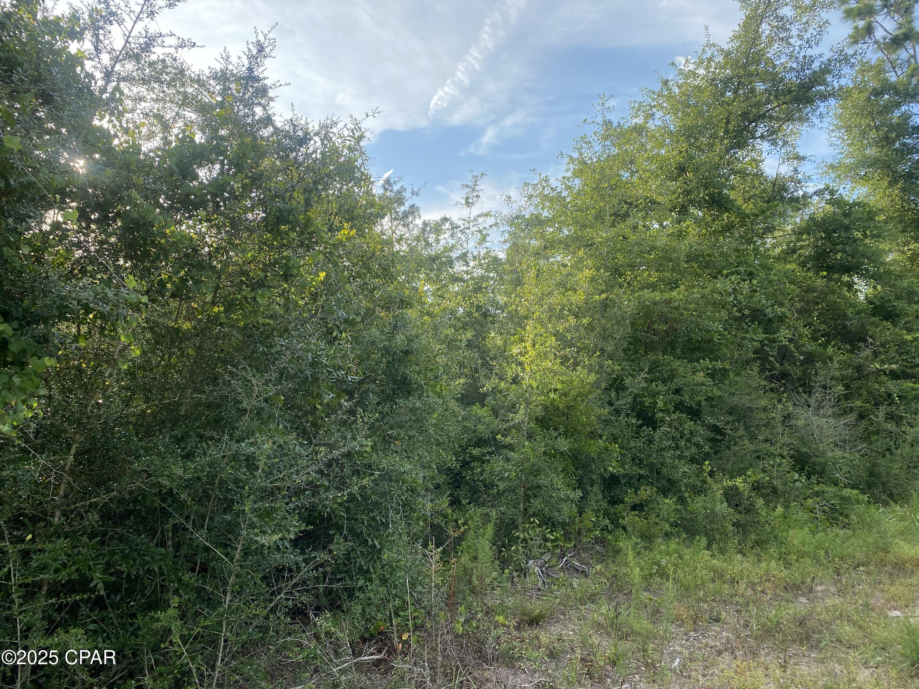 Homes for sale in Altha, FL | 0 Nw Tindal Dr, Altha, FL 32421 | MLS# 776357