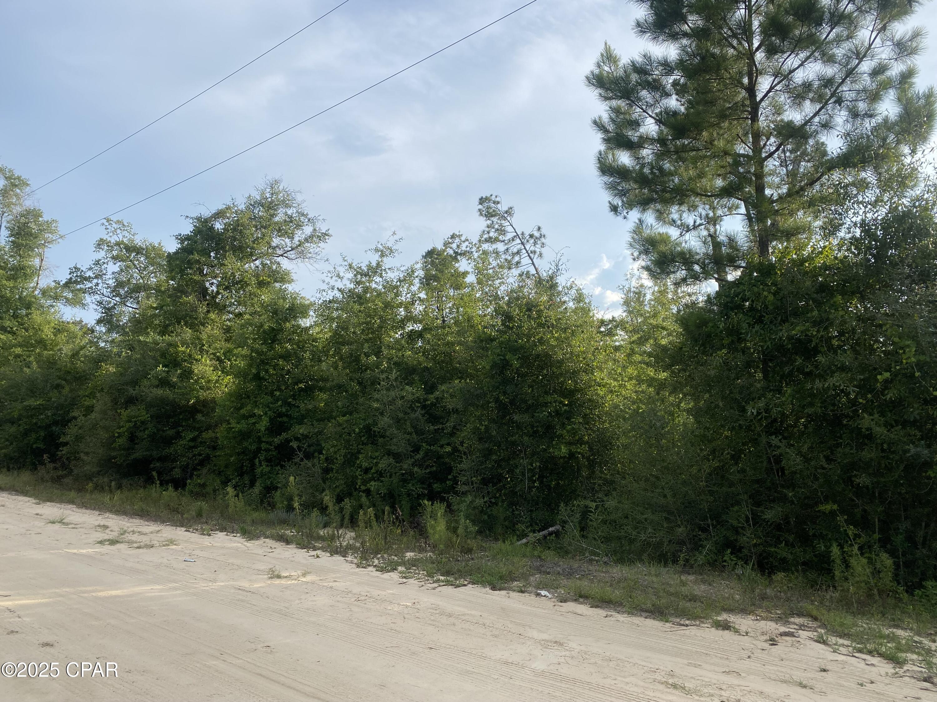 Homes for sale in Altha, FL | 0 Nw Tindal Dr, Altha, FL 32421 | MLS# 776357