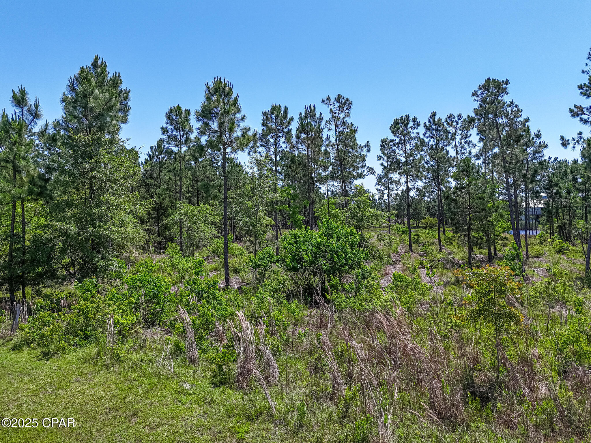 Image 12 For 110 Calmwater Circle