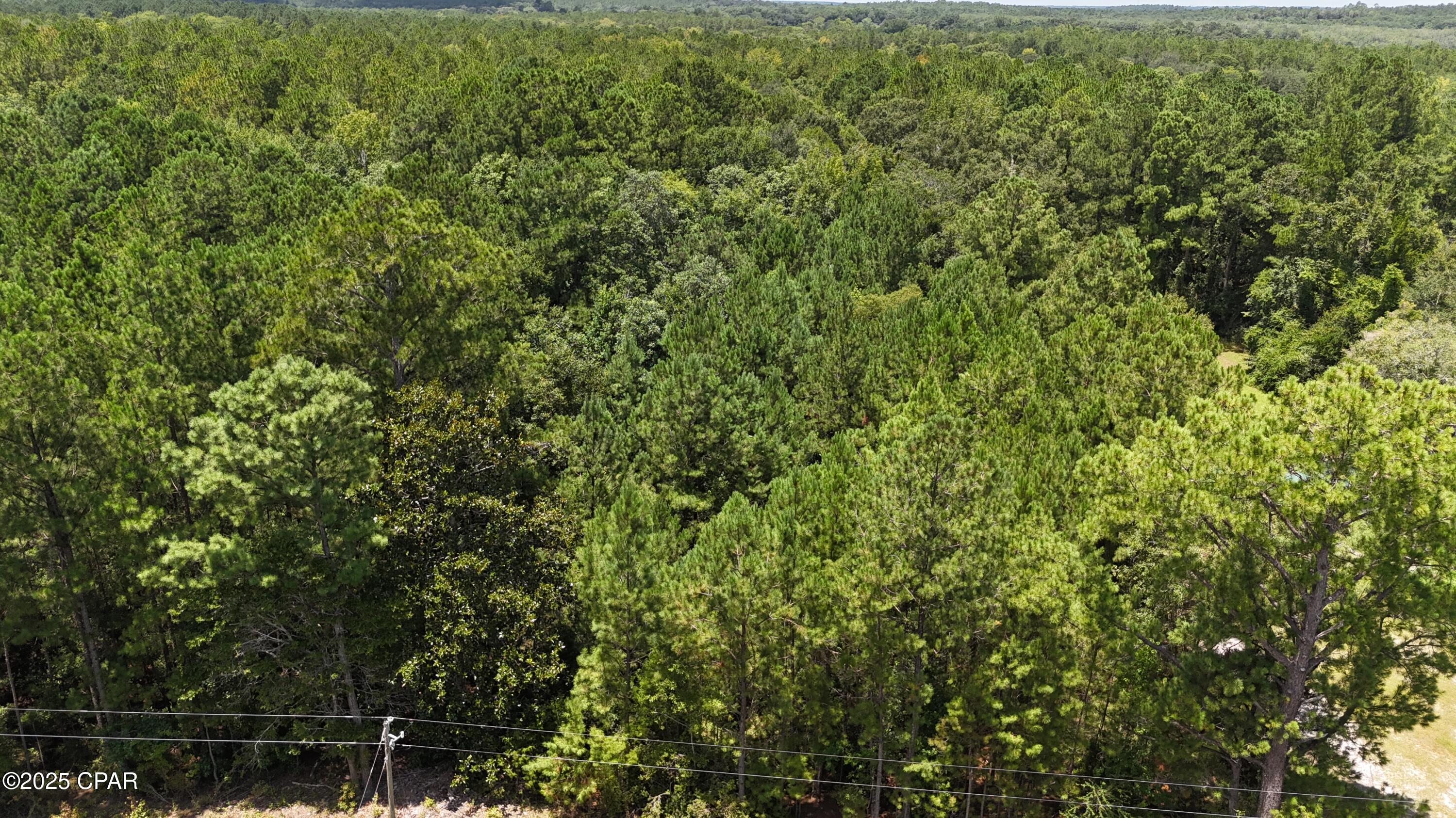 Homes for sale in Bonifay, FL | 1794 Hwy 79, Bonifay, FL 32425 | MLS# 776497
