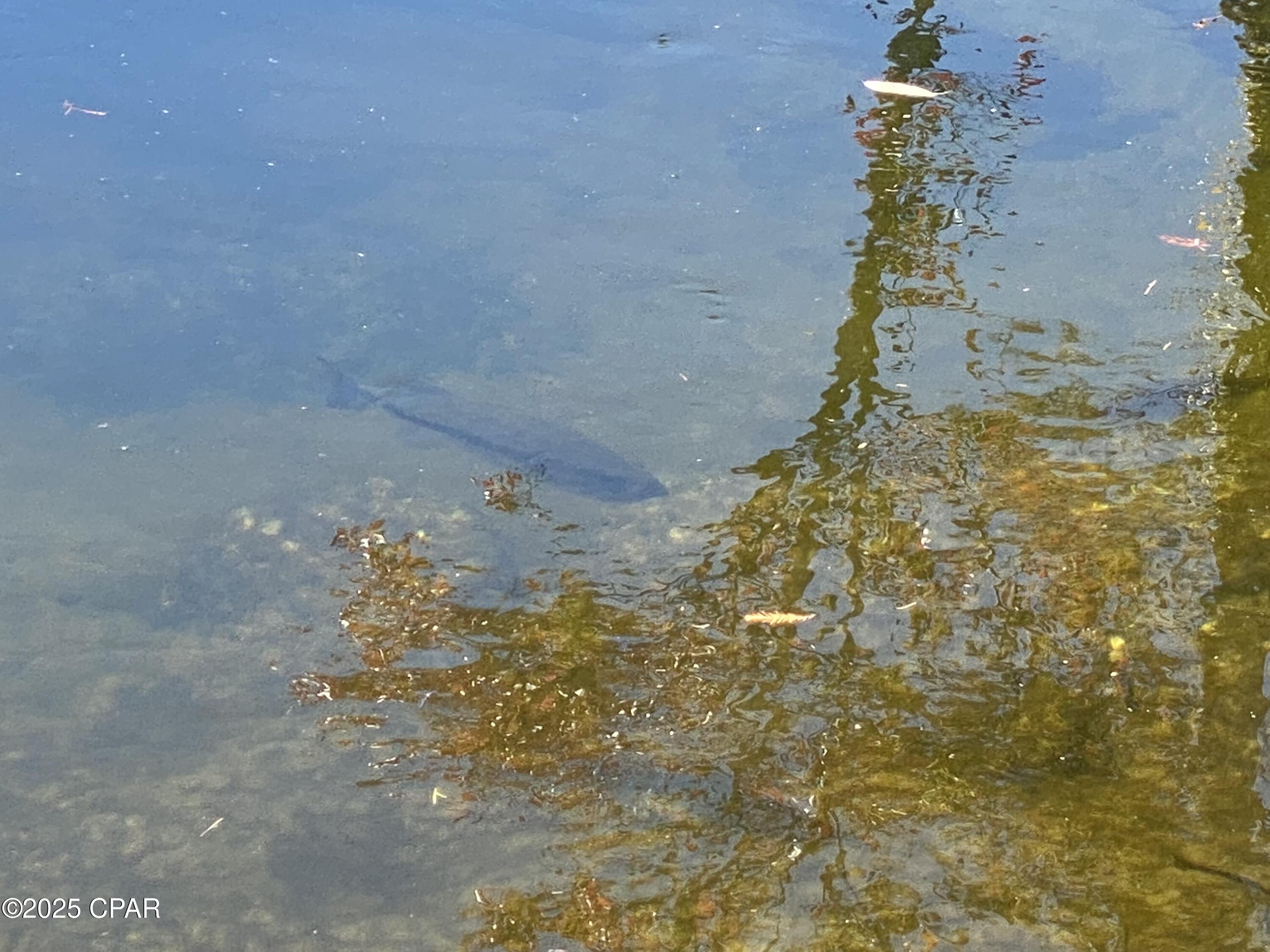 Image 5 For 15711 Owls Roost Trail