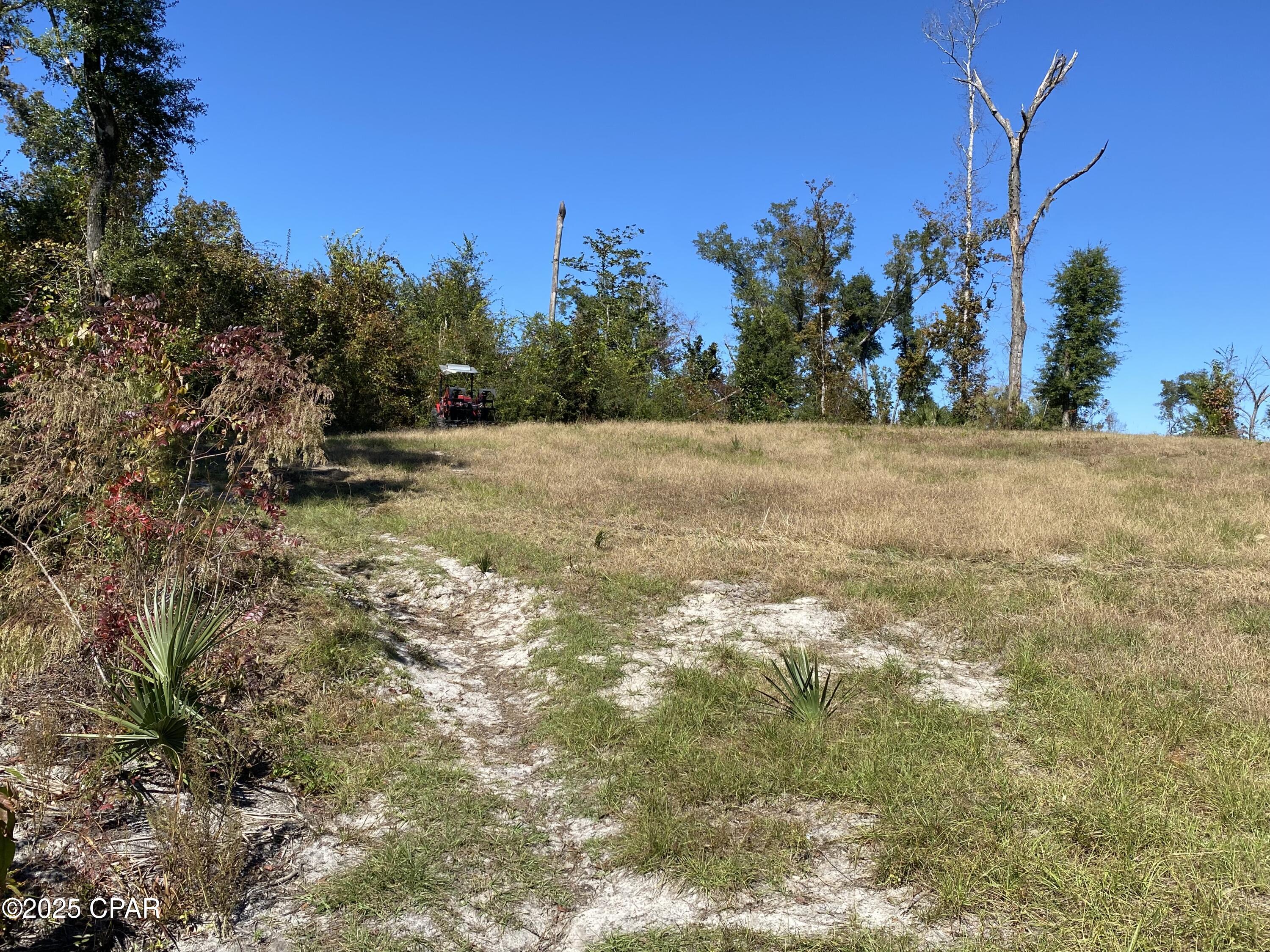 Image 6 For 15711 Owls Roost Trail