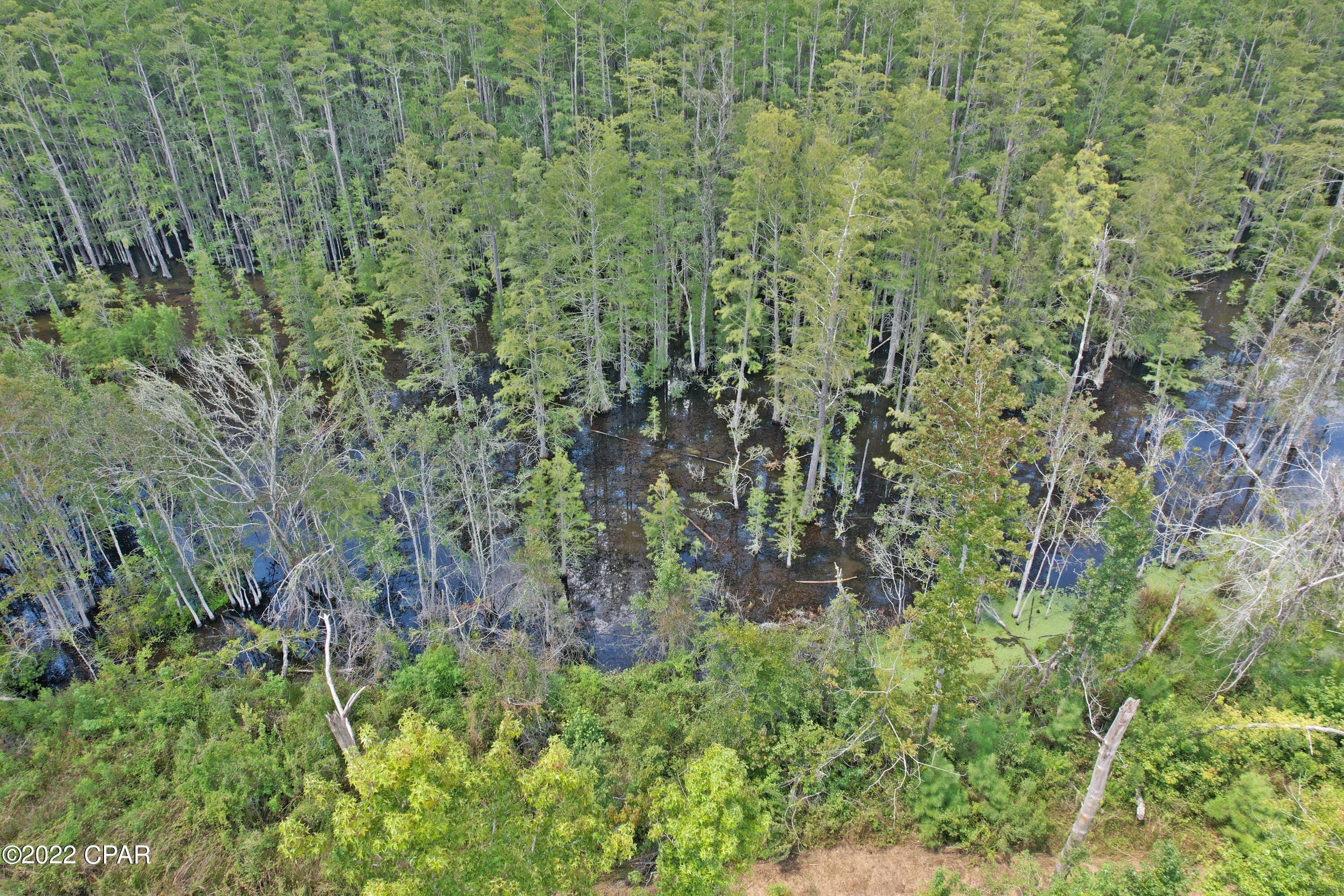 Homes for sale in Cottondale, FL | 00 Perry Rd, Cottondale, FL 32431 | MLS# 730678