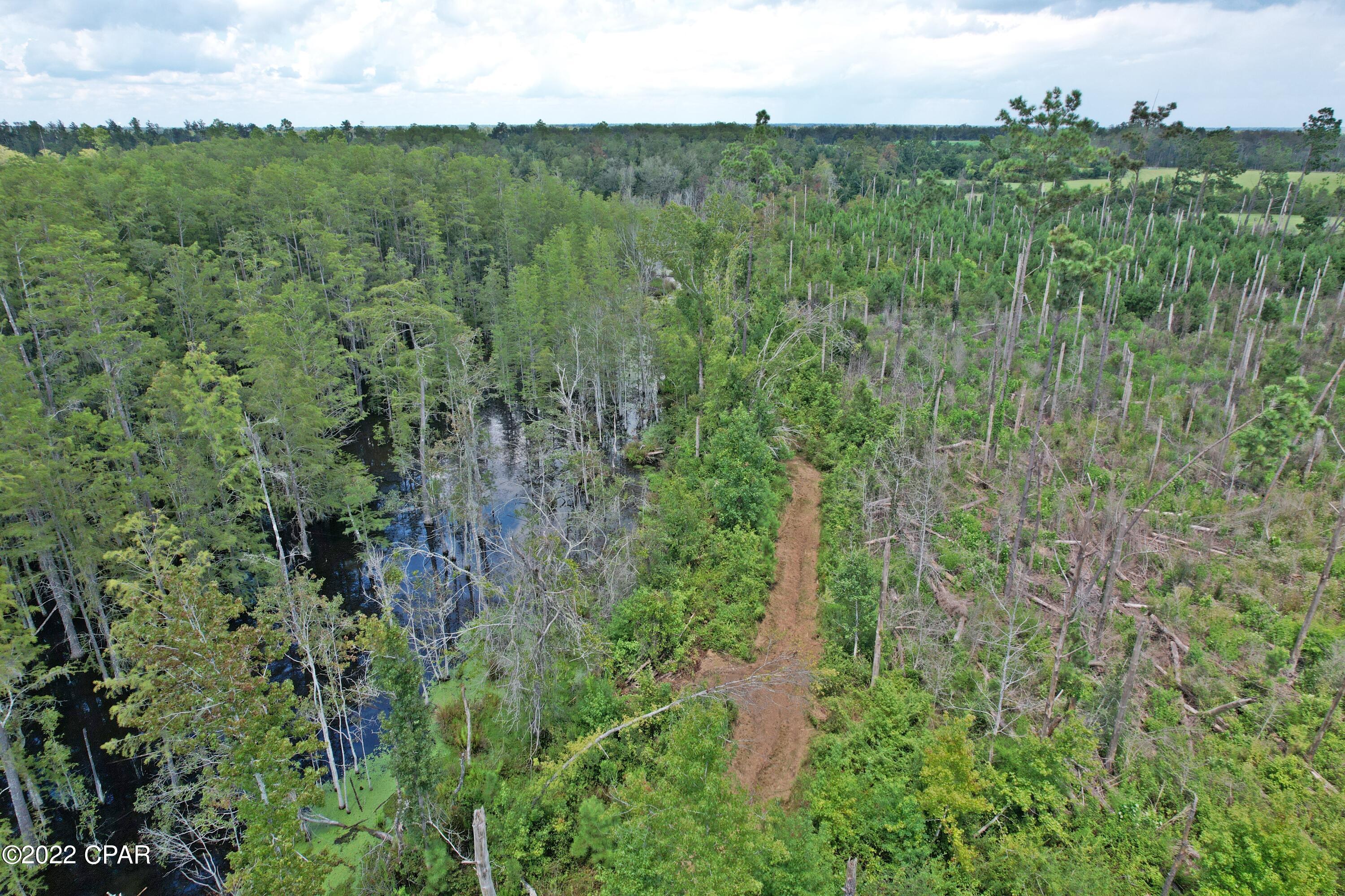 Homes for sale in Cottondale, FL | 00 Perry Rd, Cottondale, FL 32431 | MLS# 730678