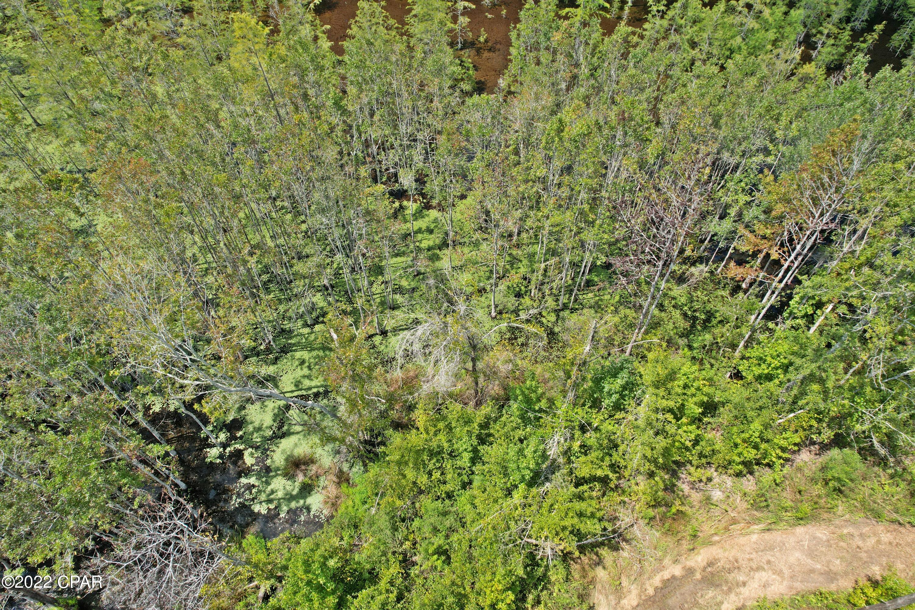 Homes for sale in Cottondale, FL | 00 Perry Rd, Cottondale, FL 32431 | MLS# 730678