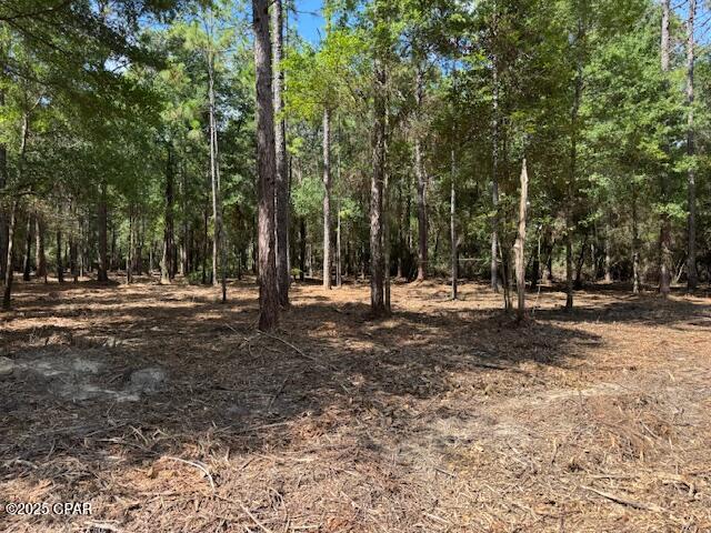 Details for 0000 Derby Drive, Chipley, FL 32428