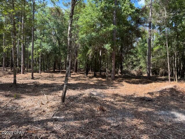 Image 4 For 0000 Derby Drive