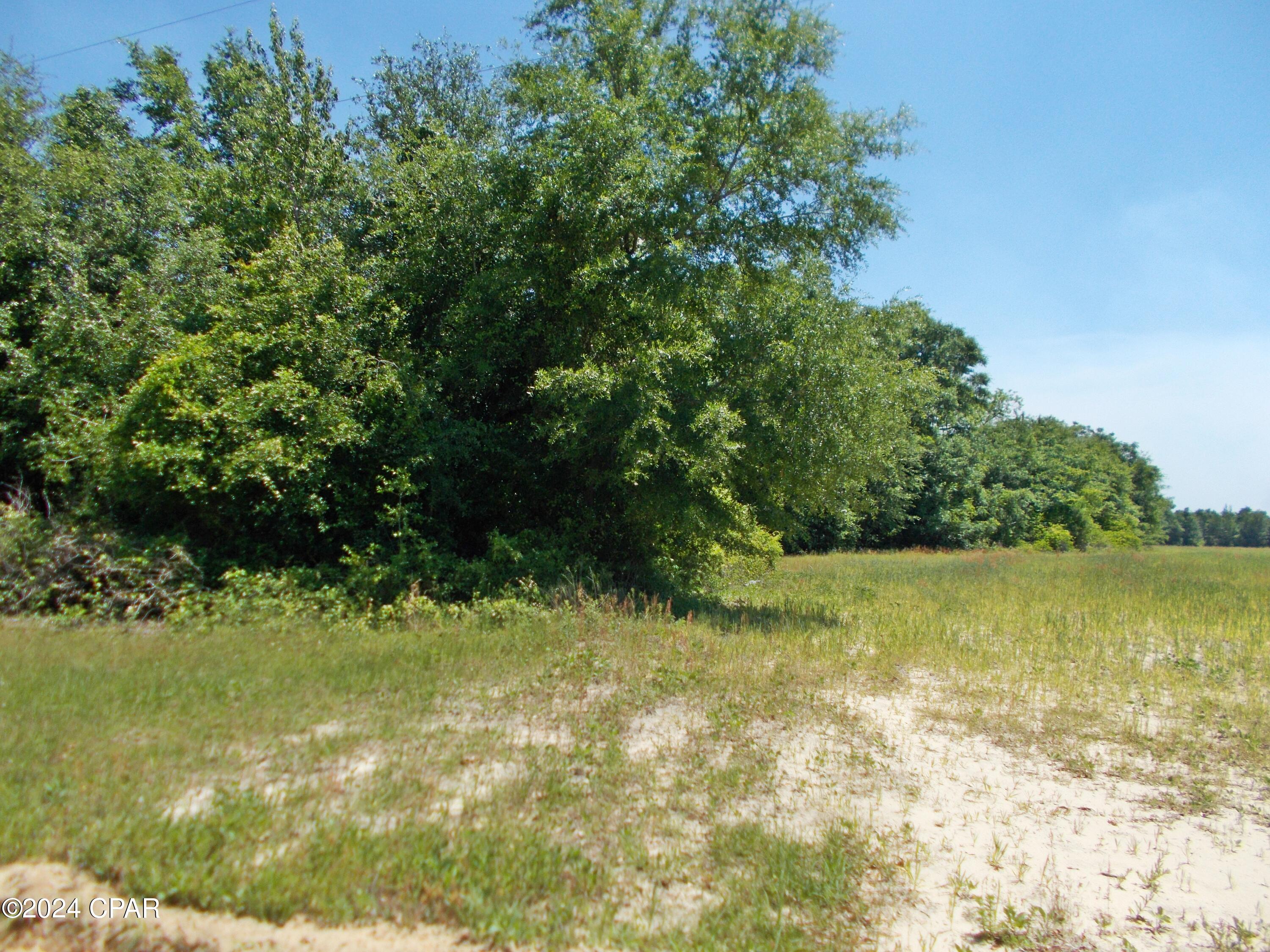 Details for 1ac Melon Lane, Grand Ridge, FL 32442