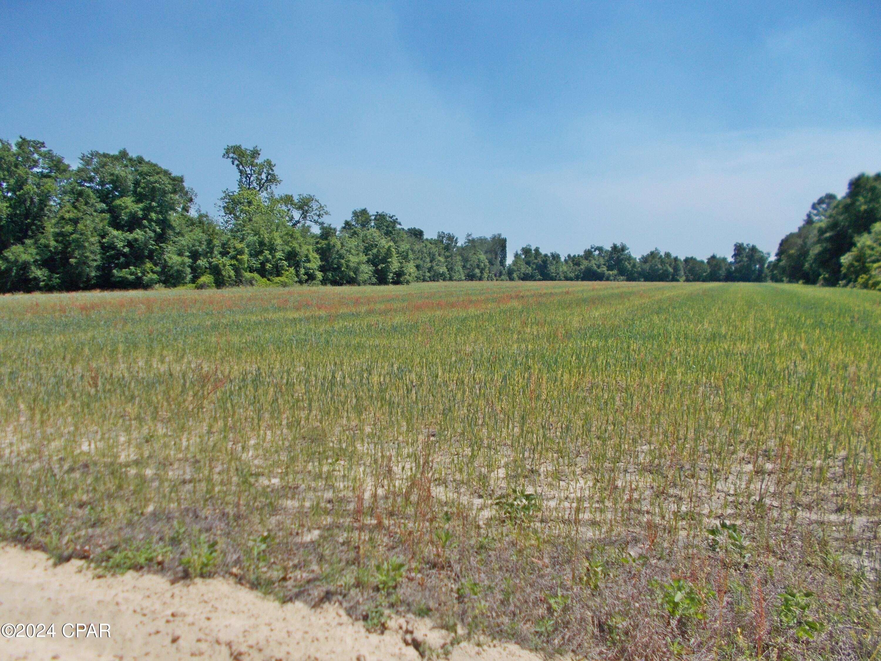 Image 4 For 1ac Melon Lane