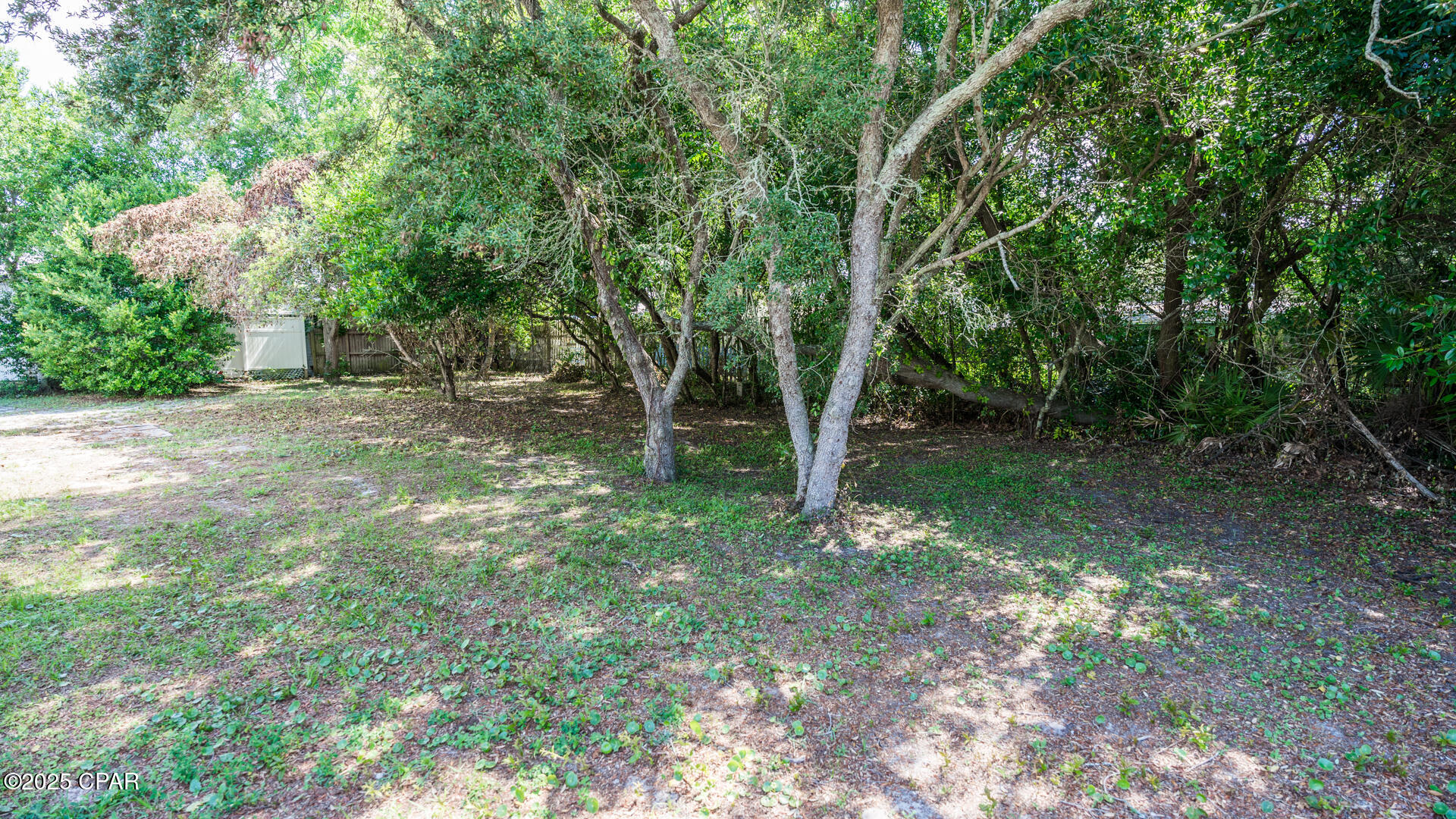 Image 3 For 508 Pinetree Drive