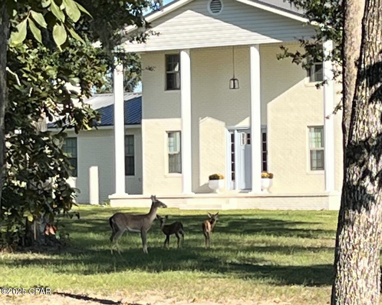 Image 2 For 2666 Indian Springs Road