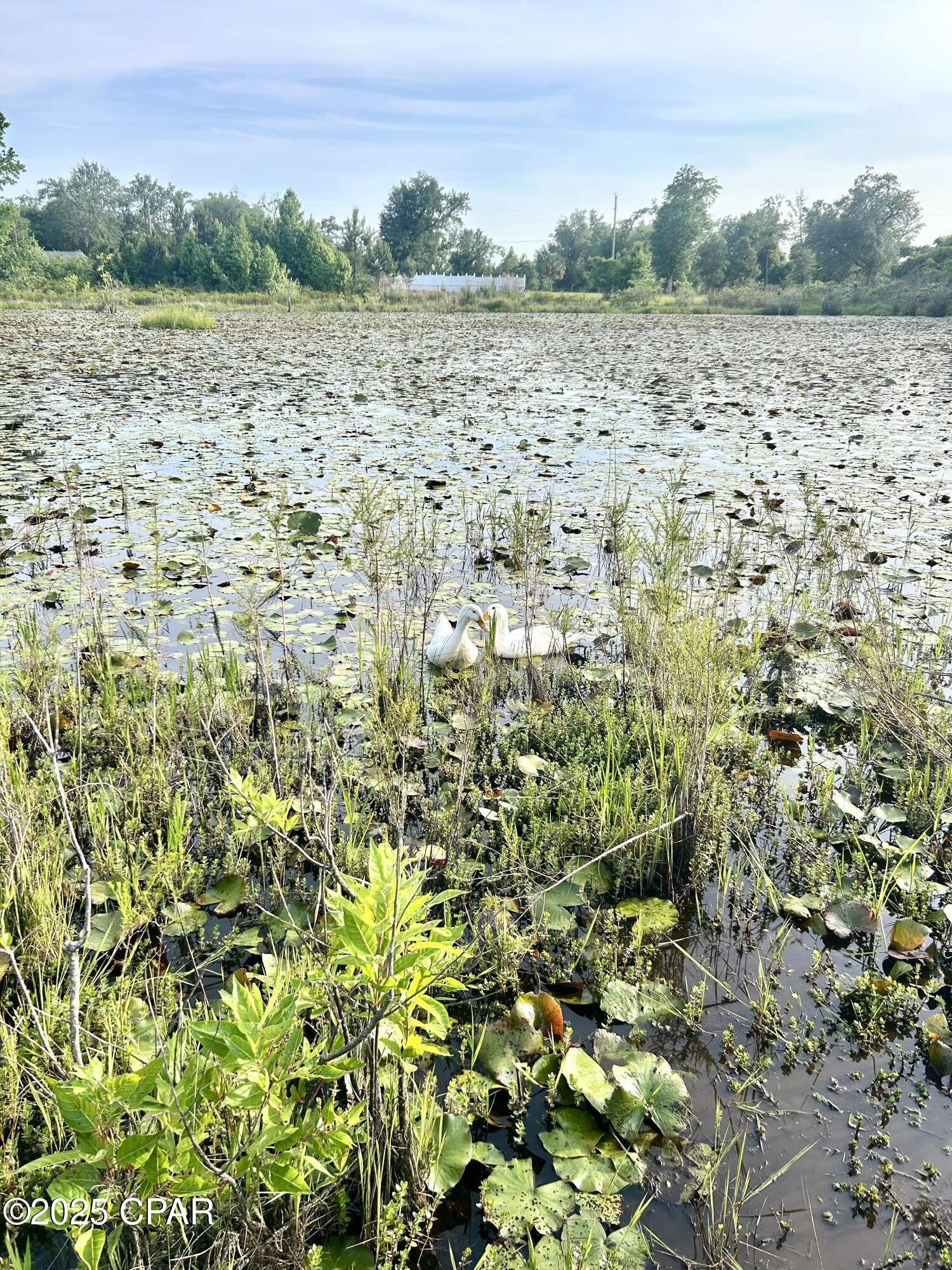 Image 46 For 2666 Indian Springs Road