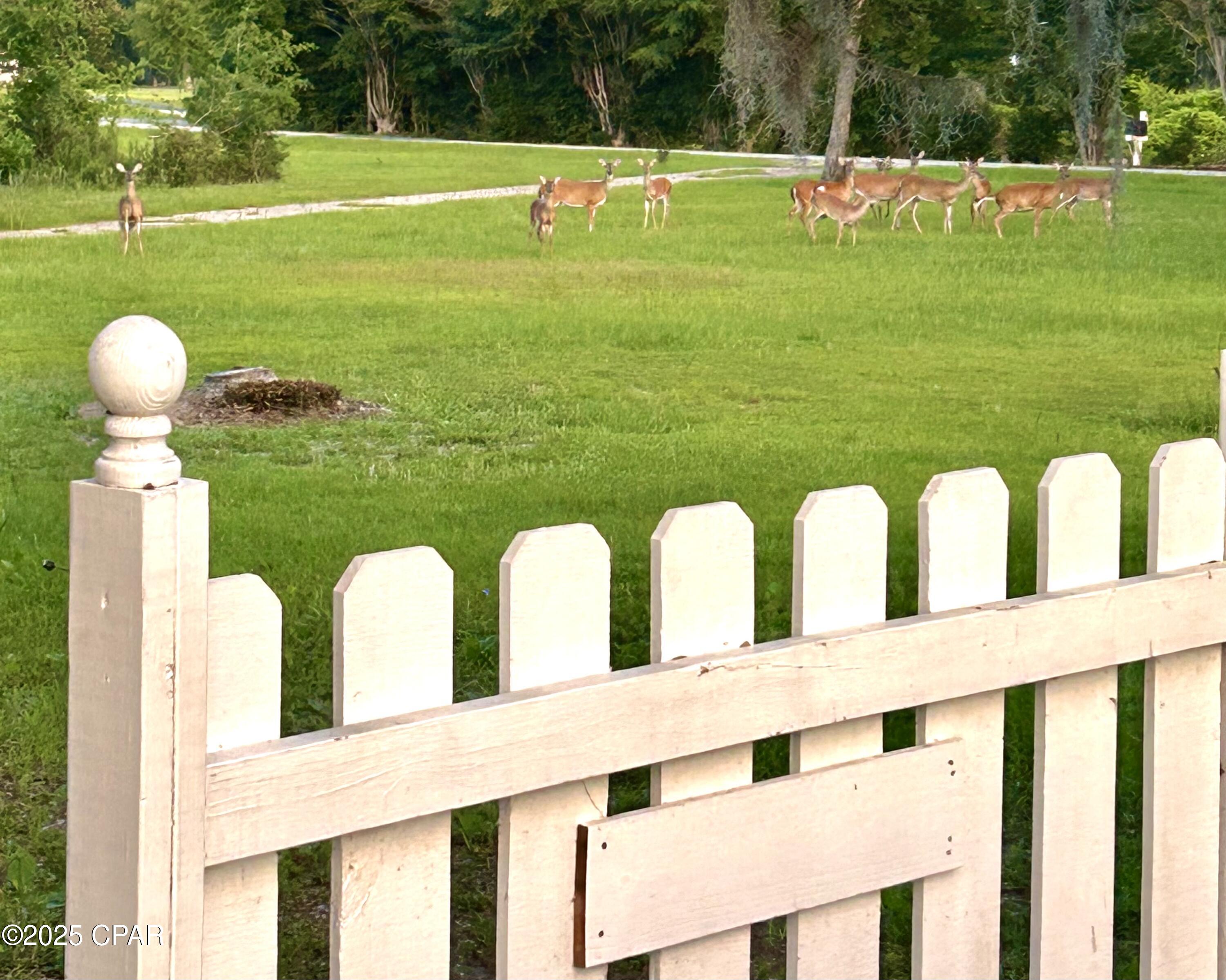 Image 5 For 2666 Indian Springs Road