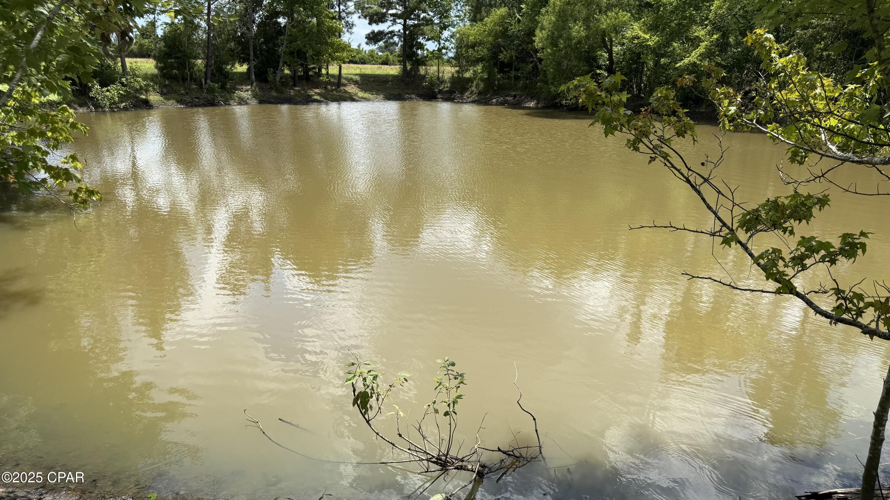 Image 21 For 4758 Rhonda Drive