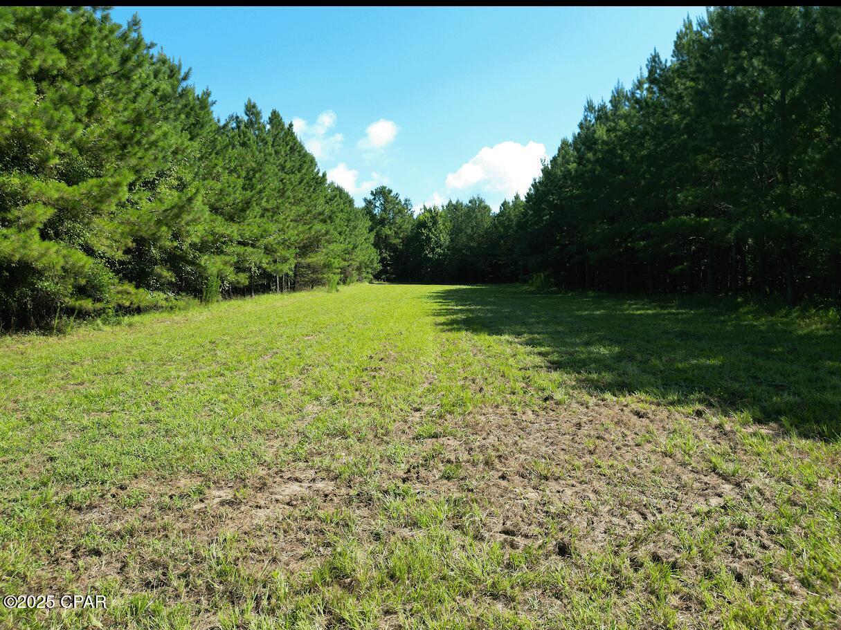 Image 10 For Xxx Greensboro Highway