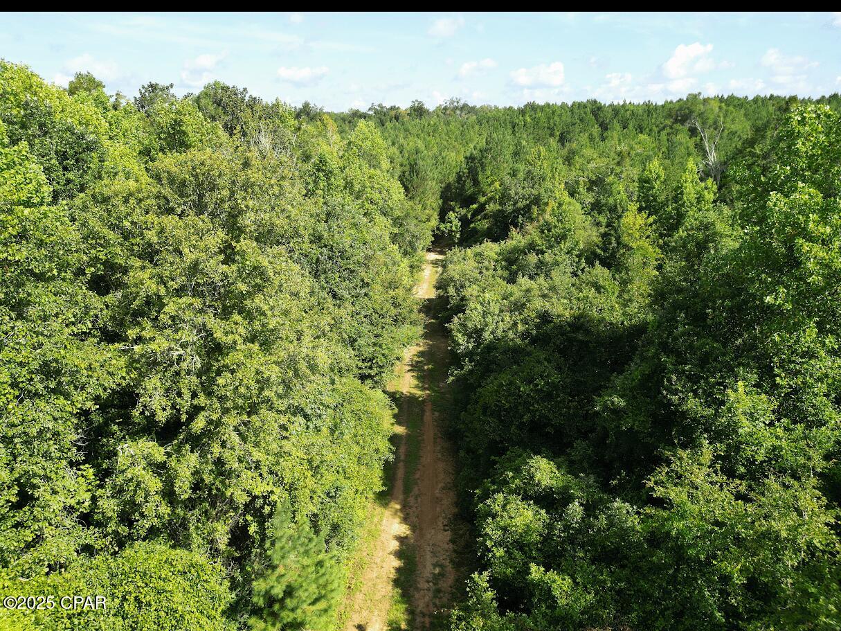 Image 11 For Xxx Greensboro Highway