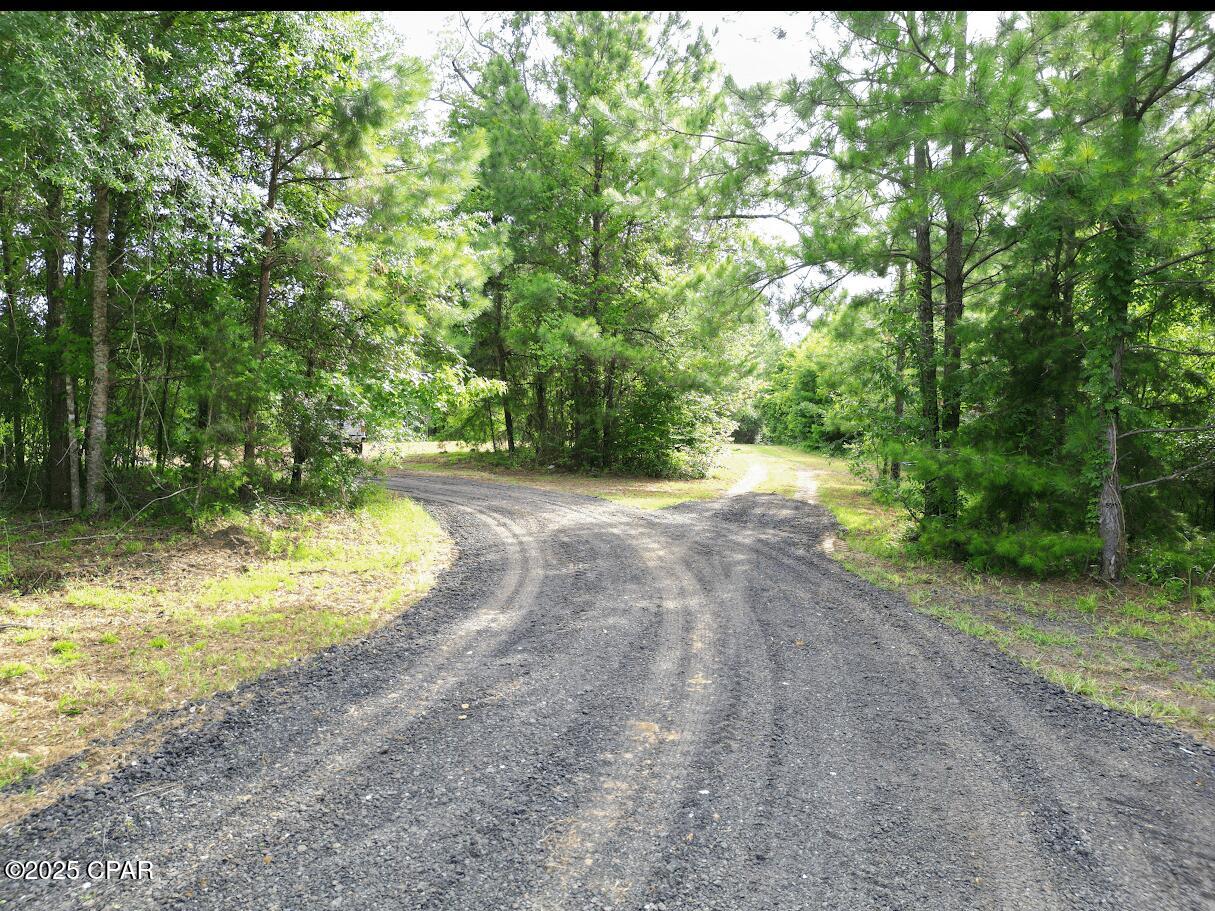 Image 14 For Xxx Greensboro Highway