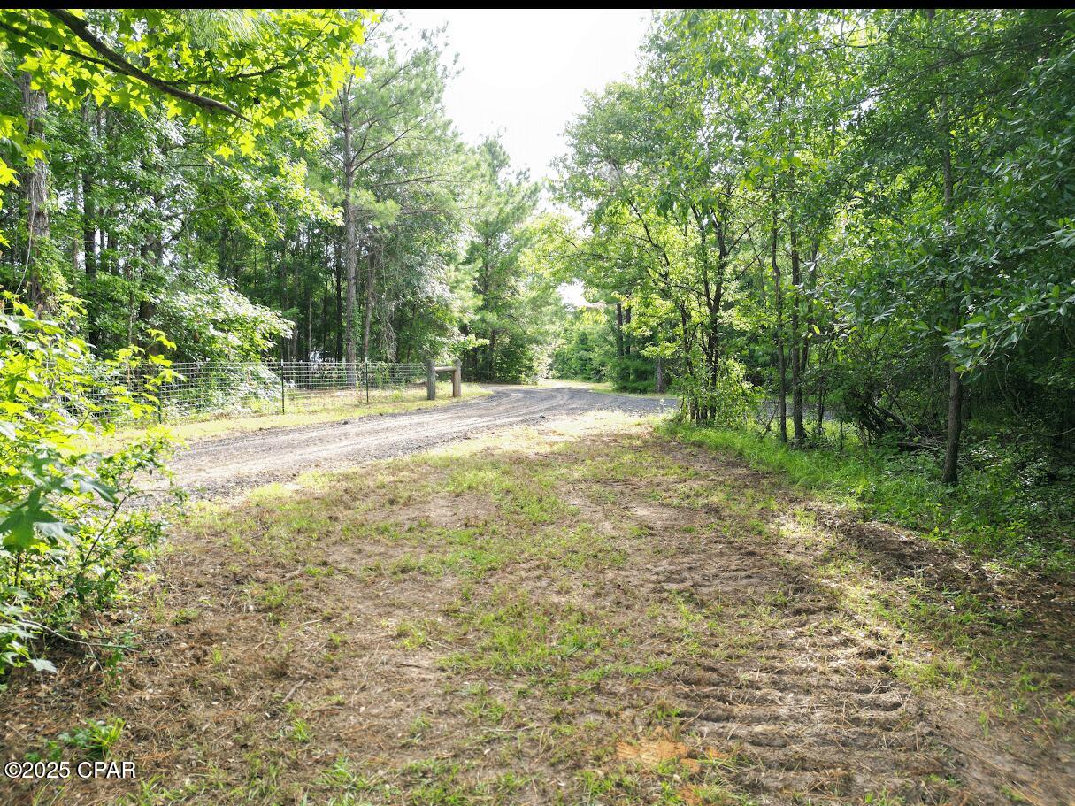 Image 17 For Xxx Greensboro Highway