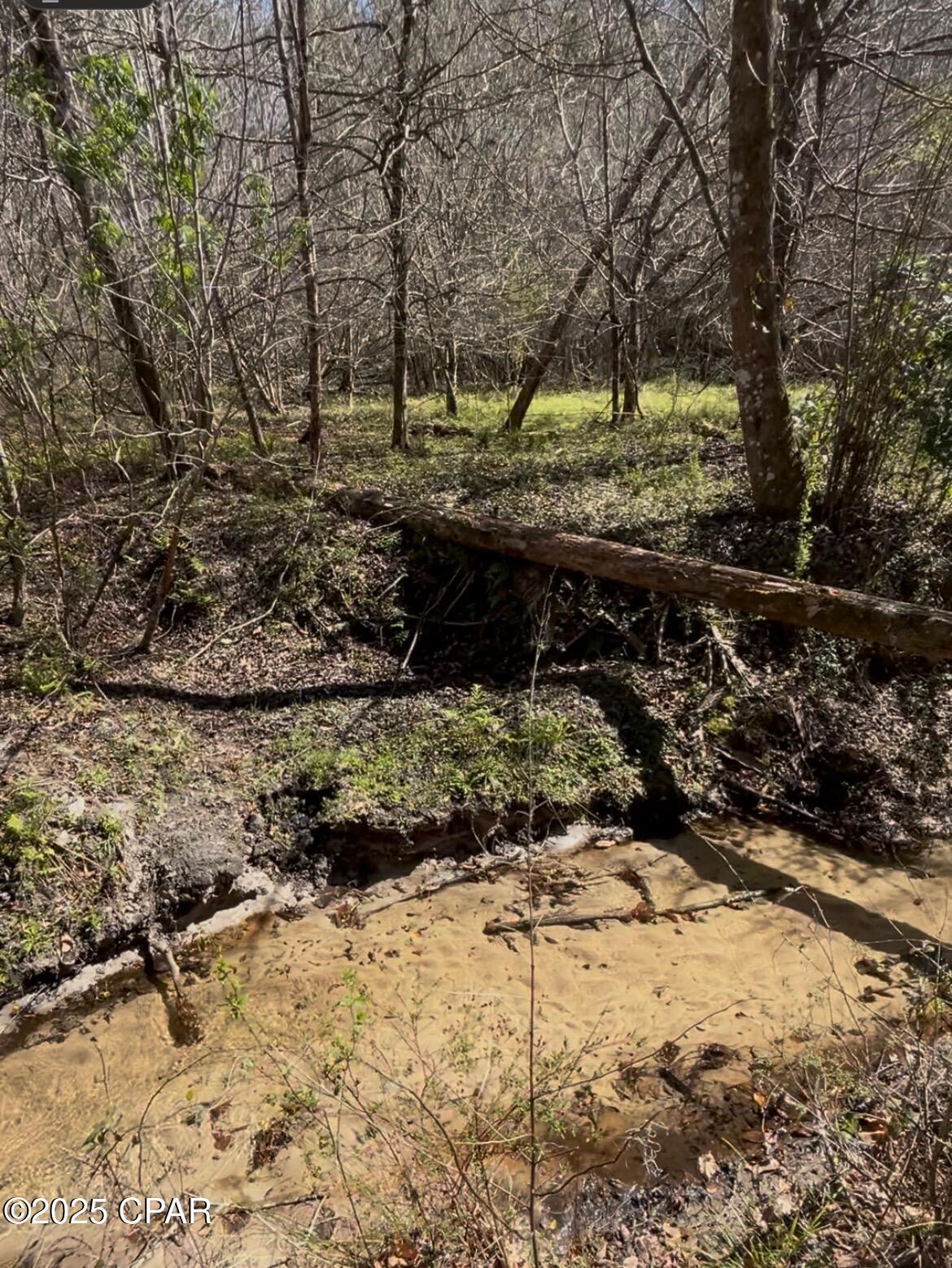 Image 19 For Xxx Greensboro Highway