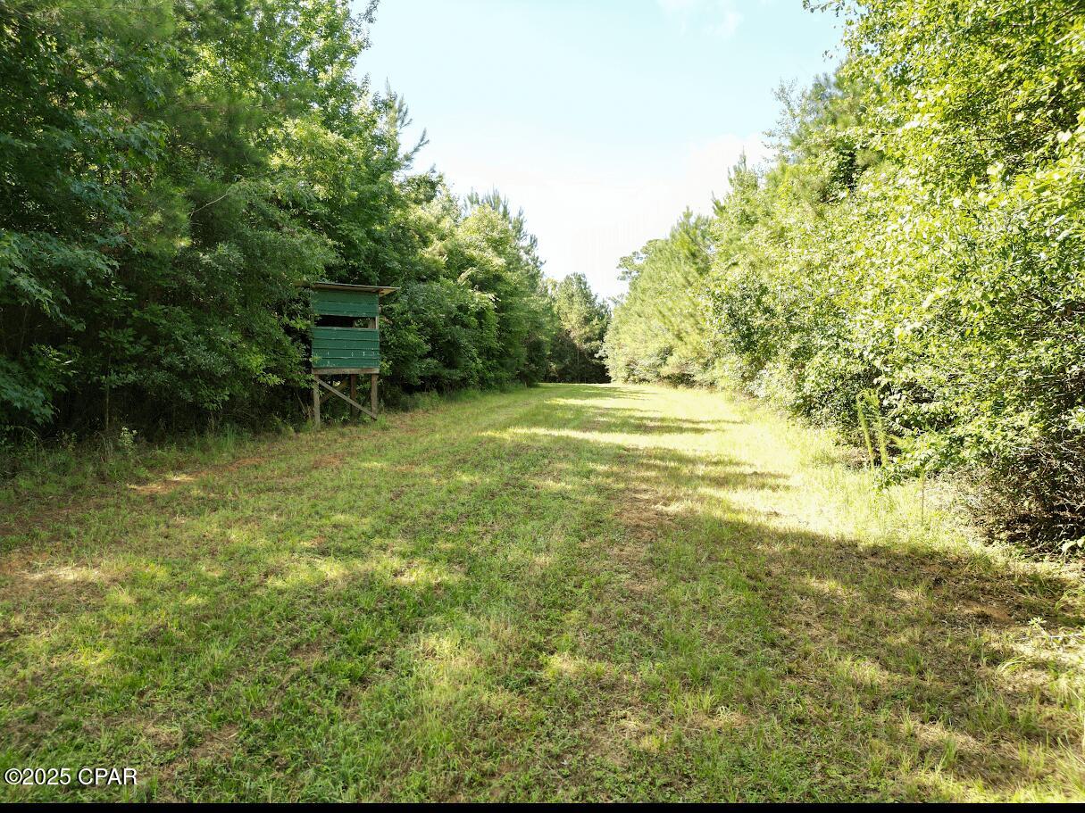 Image 2 For Xxx Greensboro Highway