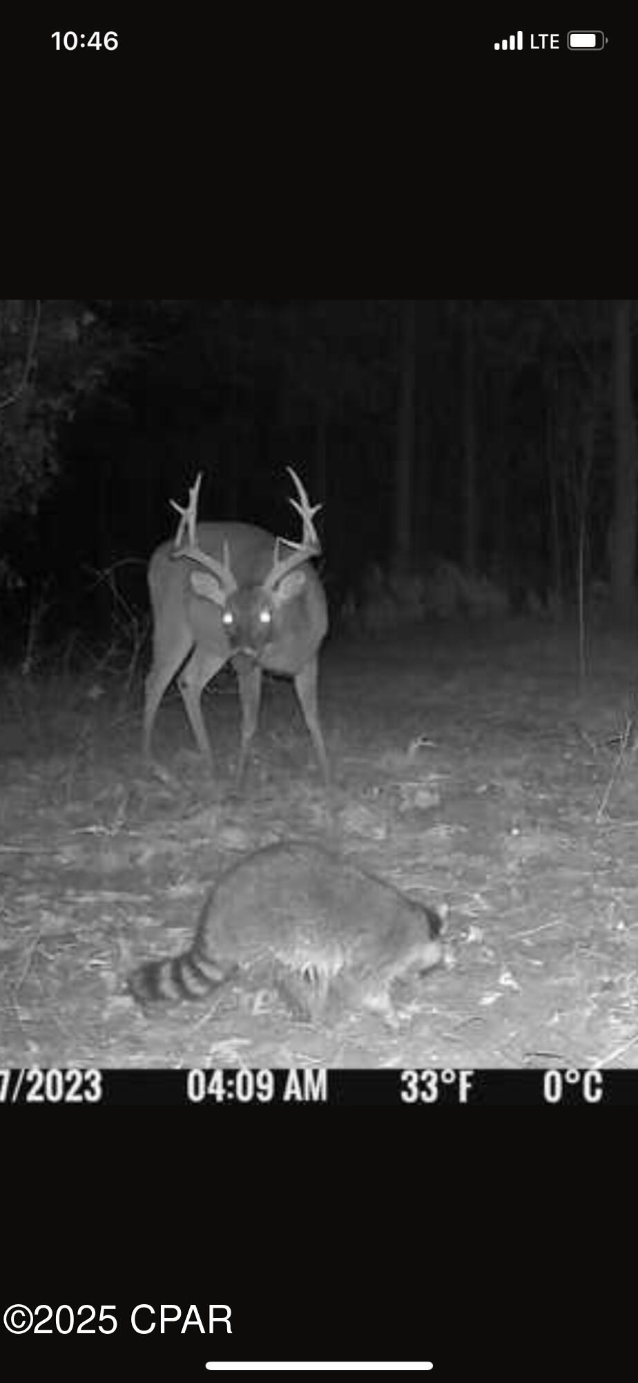 Image 20 For Xxx Greensboro Highway