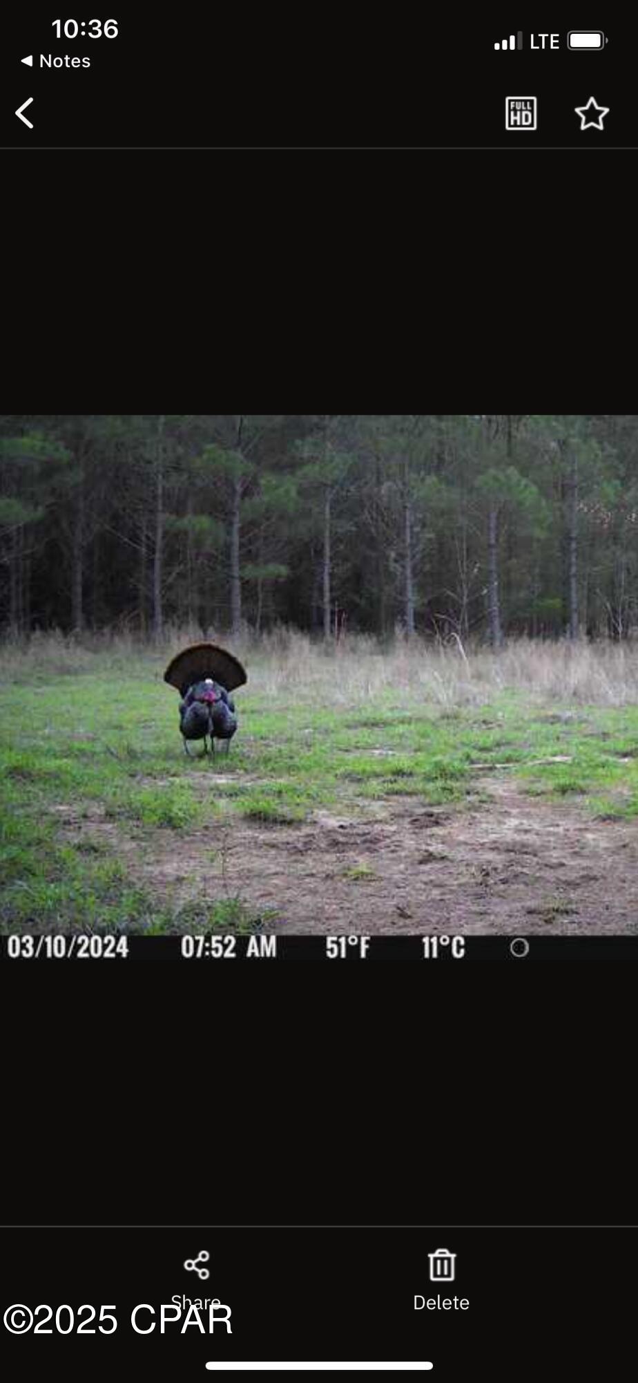 Image 22 For Xxx Greensboro Highway