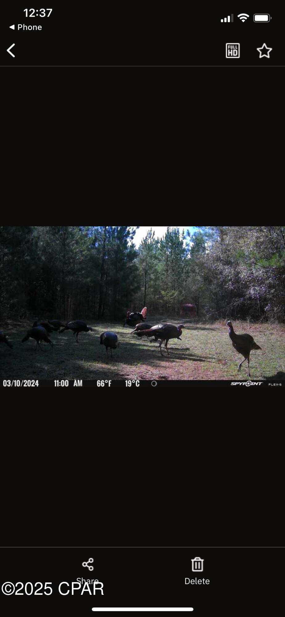 Image 23 For Xxx Greensboro Highway