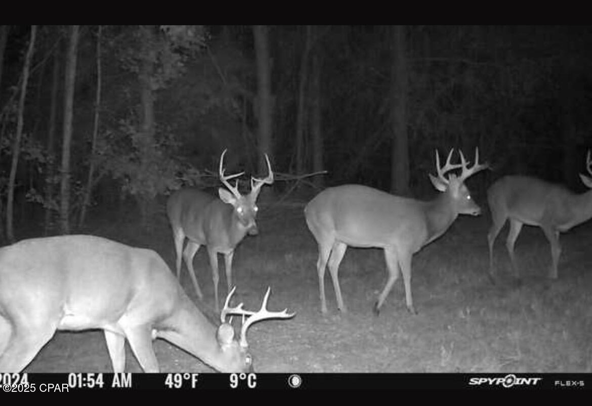 Image 3 For Xxx Greensboro Highway