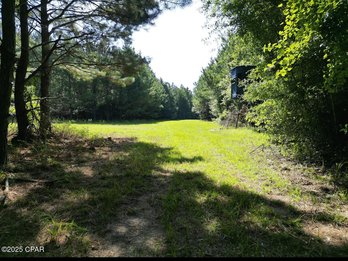 Image 4 For Xxx Greensboro Highway