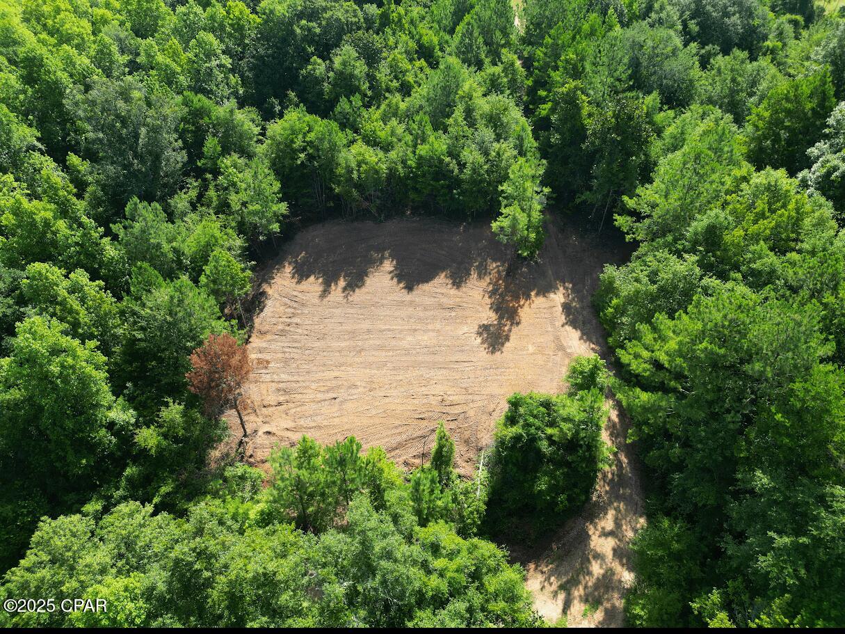 Image 5 For Xxx Greensboro Highway