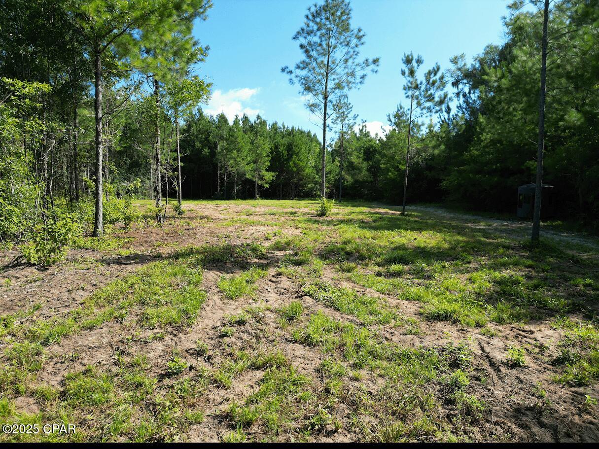 Image 6 For Xxx Greensboro Highway