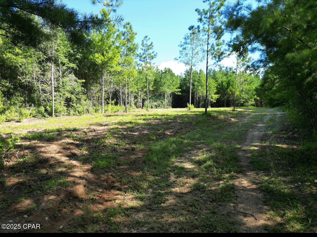 Image 7 For Xxx Greensboro Highway