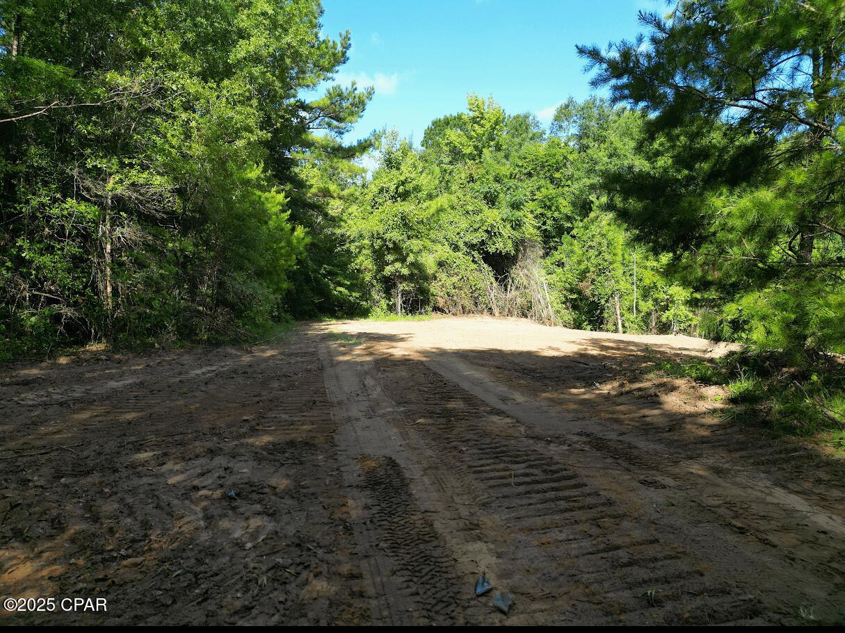 Image 8 For Xxx Greensboro Highway