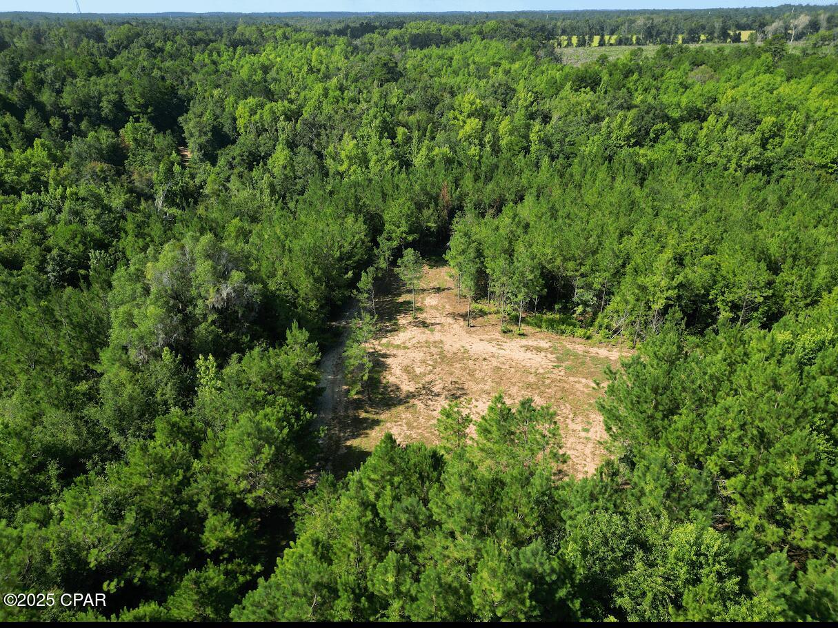 Image 9 For Xxx Greensboro Highway