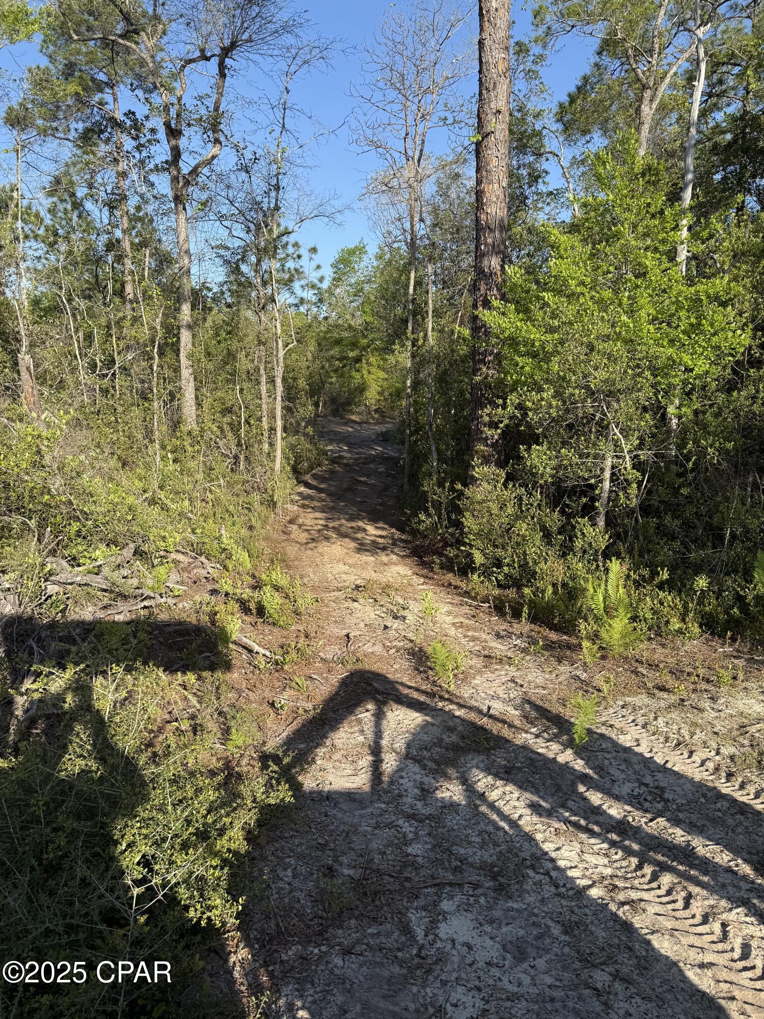 Image 10 For 516 Goshun Creek Road