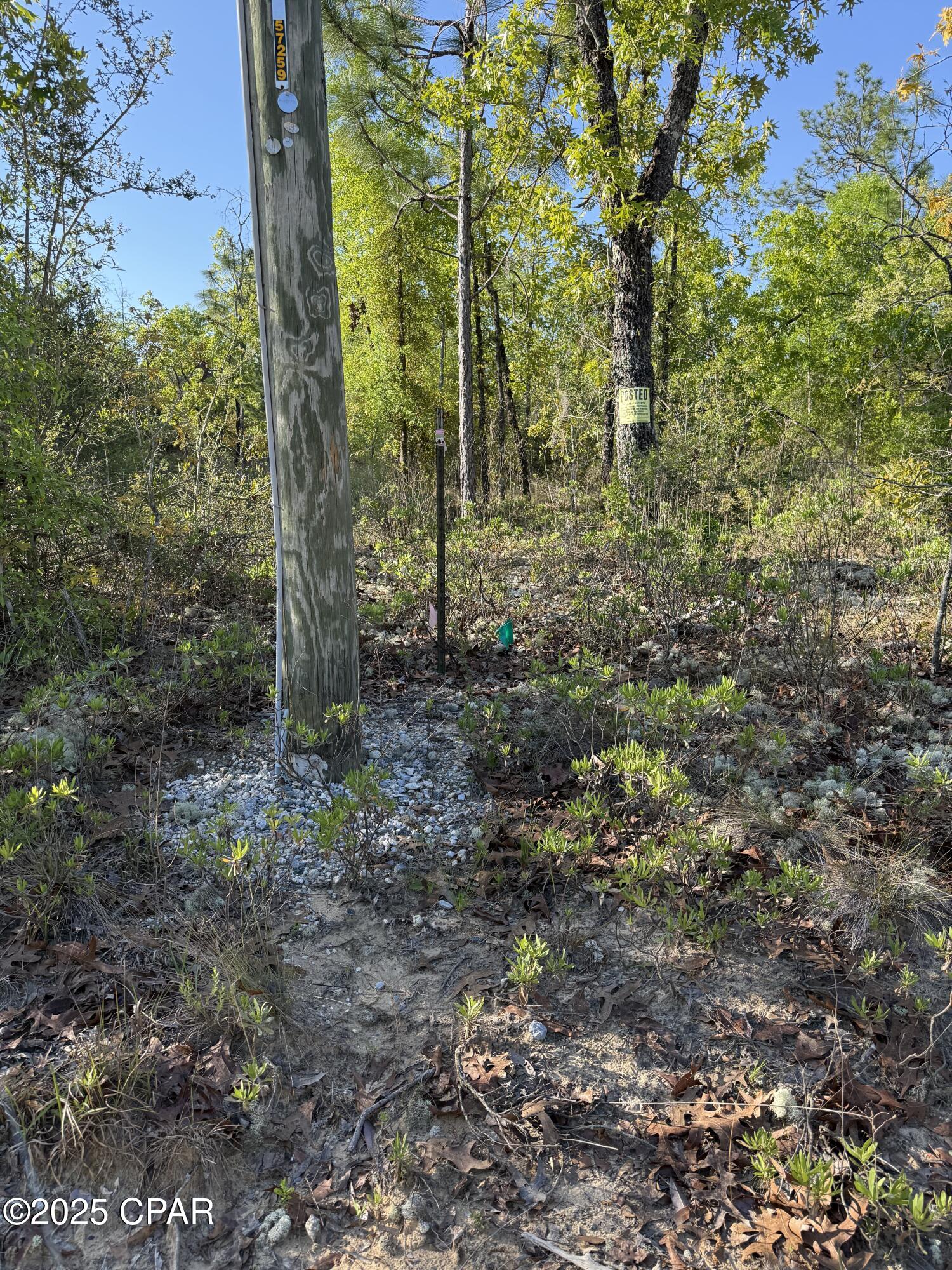 Image 12 For 516 Goshun Creek Road